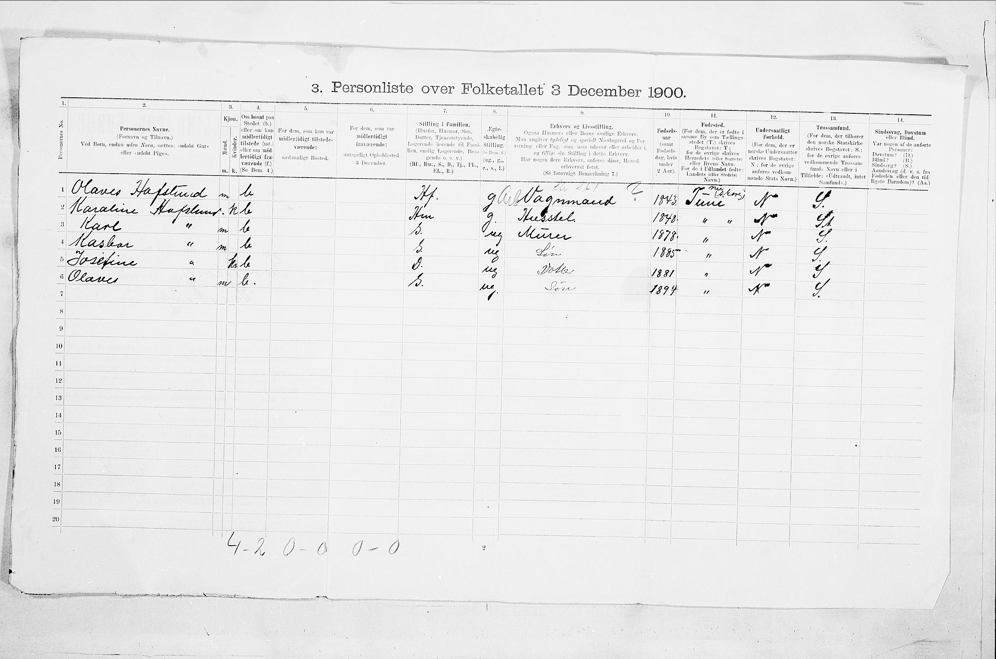 SAO, 1900 census for Sarpsborg, 1900