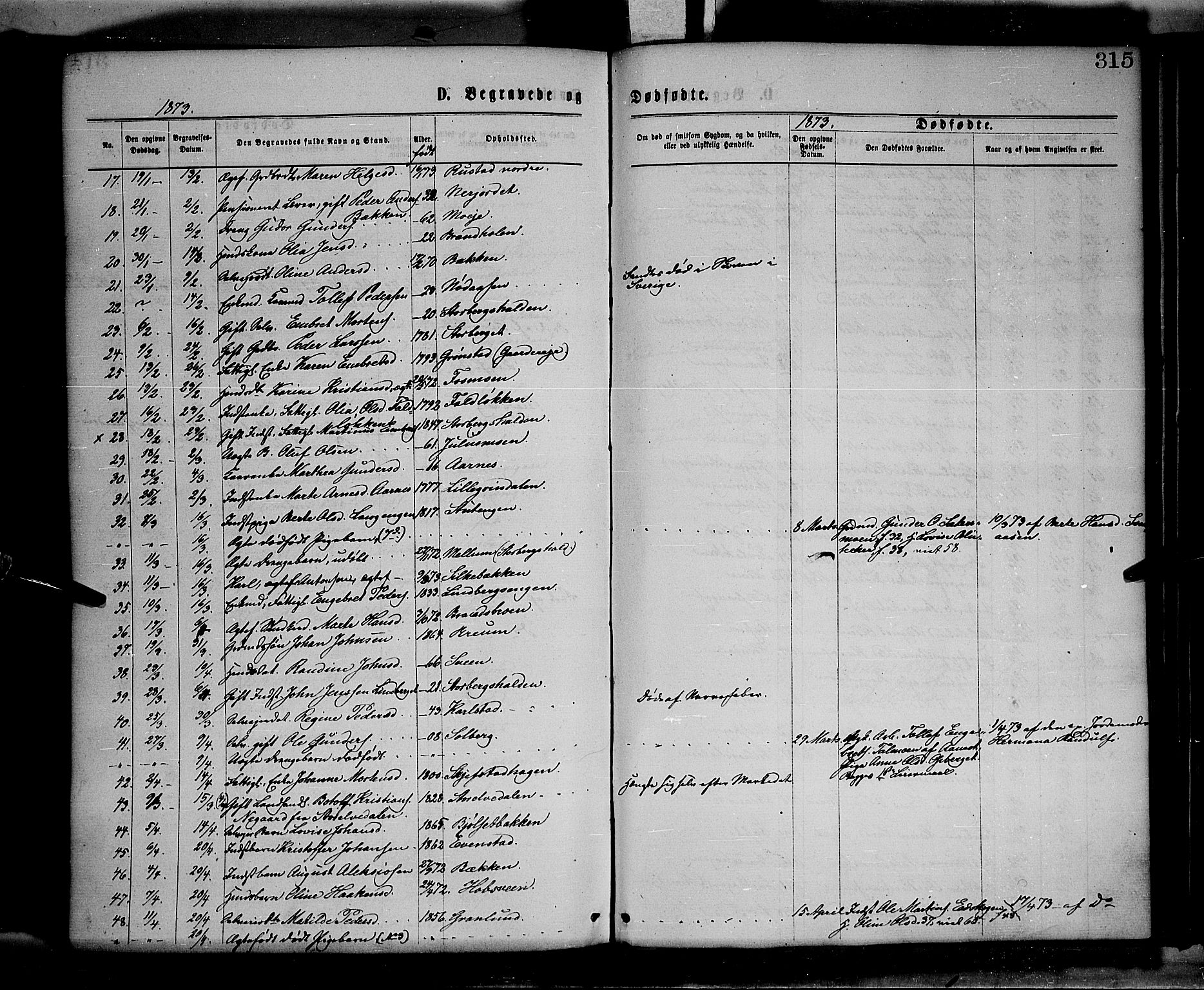 Elverum prestekontor, SAH/PREST-044/H/Ha/Haa/L0011: Parish register (official) no. 11, 1869-1879, p. 315