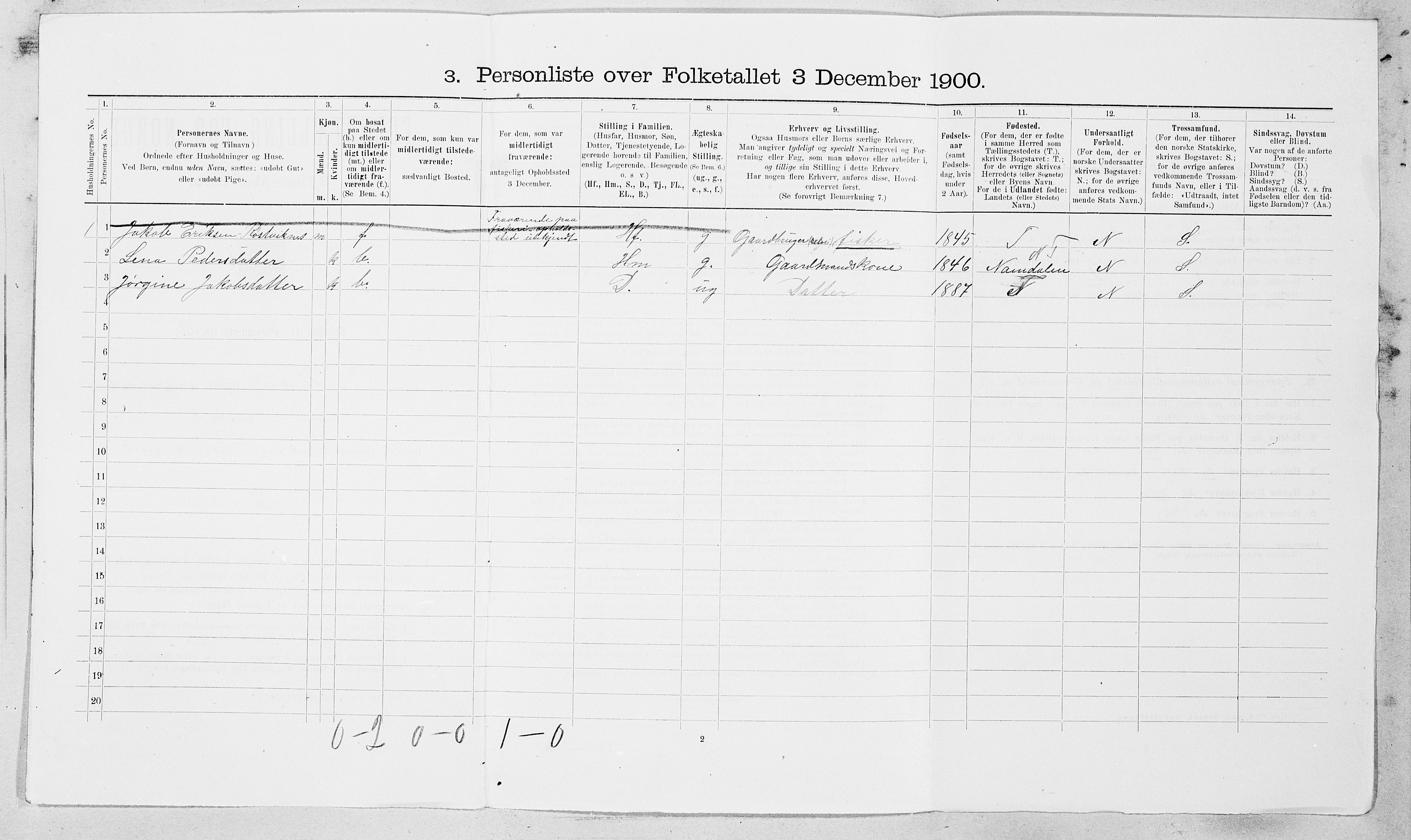 SAT, 1900 census for Hemne, 1900, p. 176