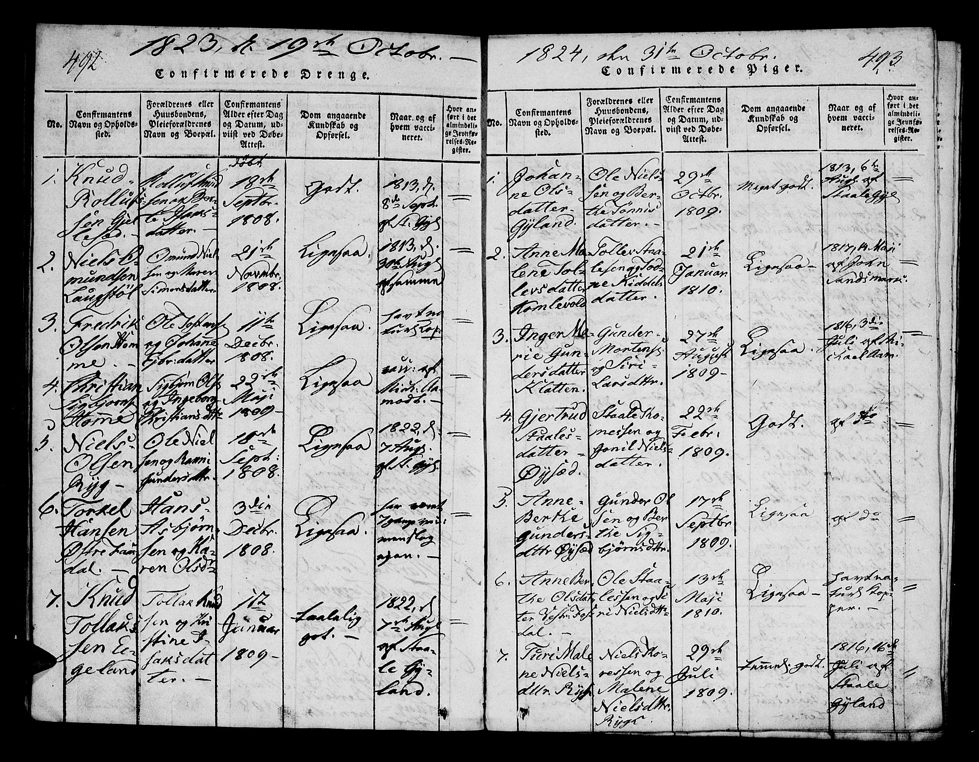 Bakke sokneprestkontor, AV/SAK-1111-0002/F/Fa/Fab/L0001: Parish register (official) no. A 1, 1815-1835, p. 492-493