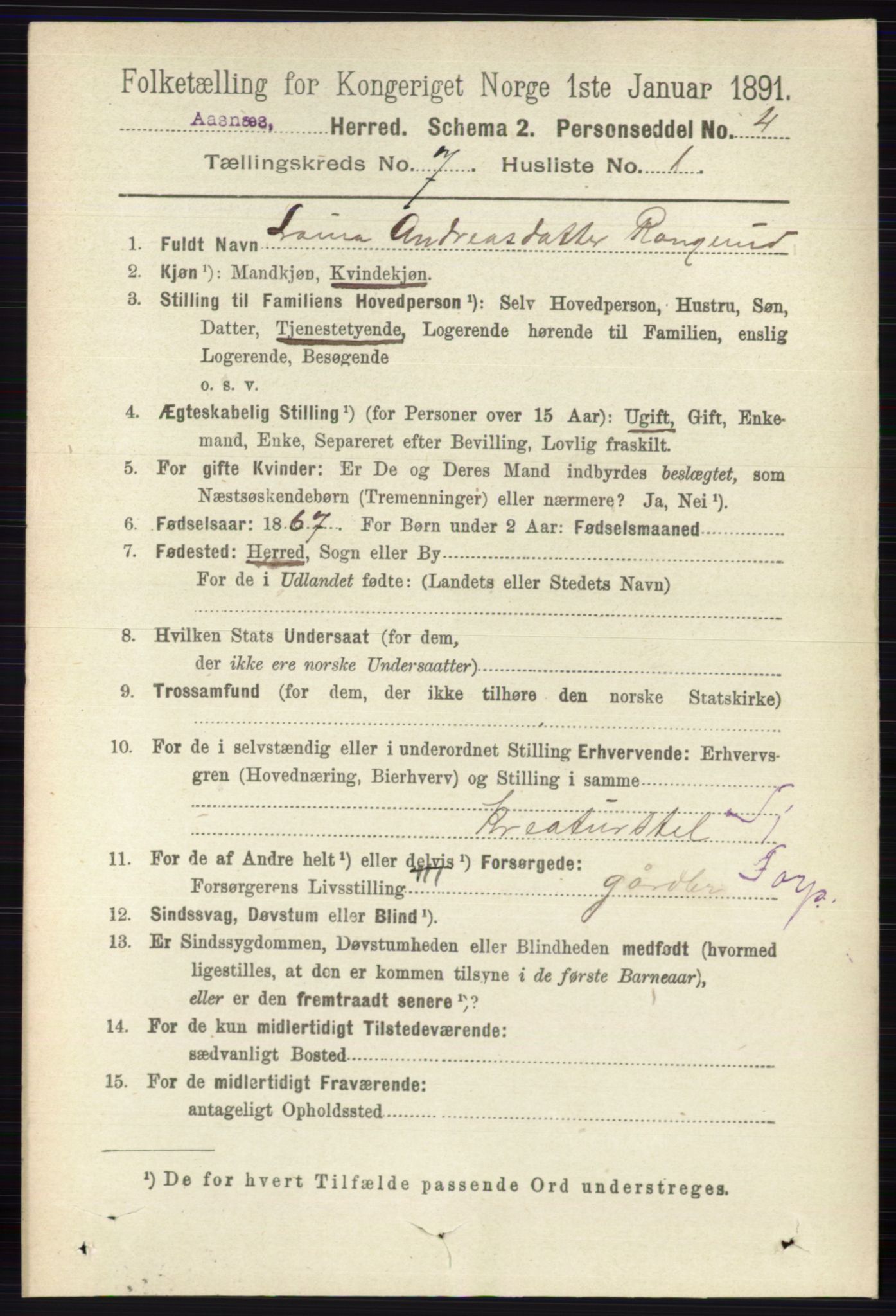 RA, 1891 census for 0425 Åsnes, 1891, p. 3375