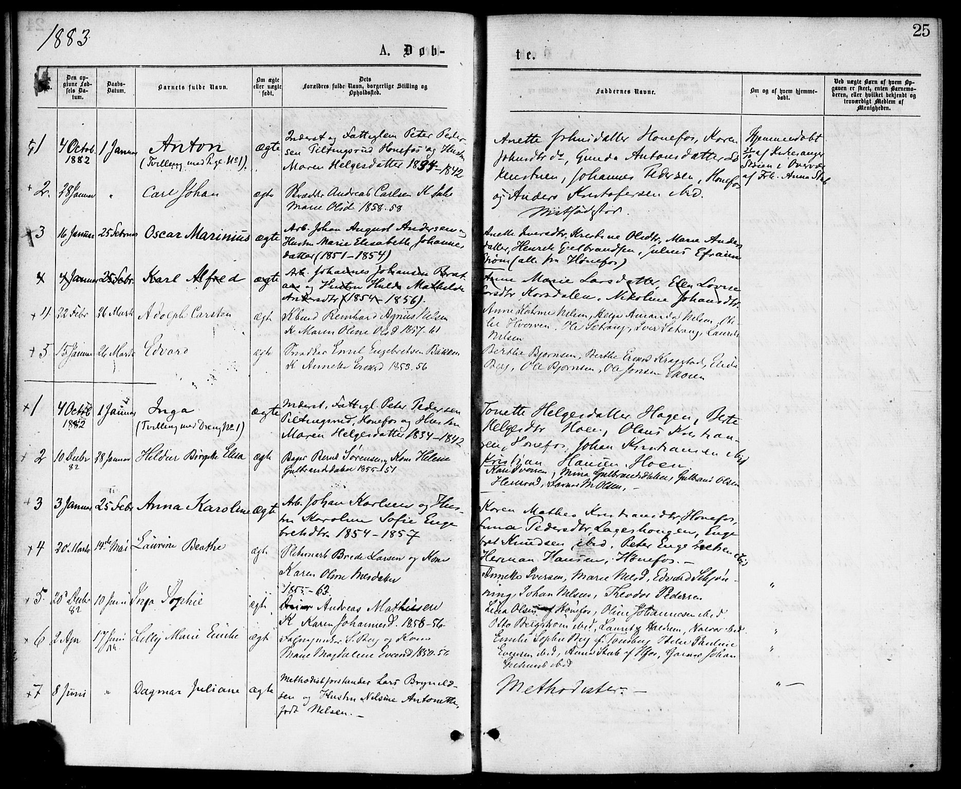 Hønefoss kirkebøker, AV/SAKO-A-609/F/Fa/L0001: Parish register (official) no. 1, 1875-1887, p. 25