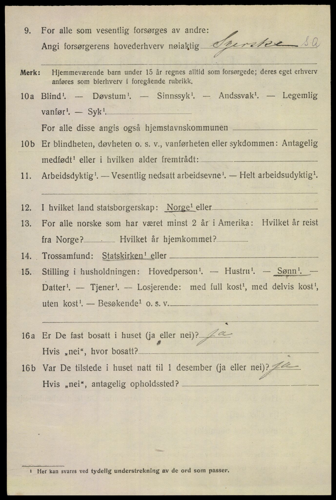 SAKO, 1920 census for Porsgrunn, 1920, p. 14766