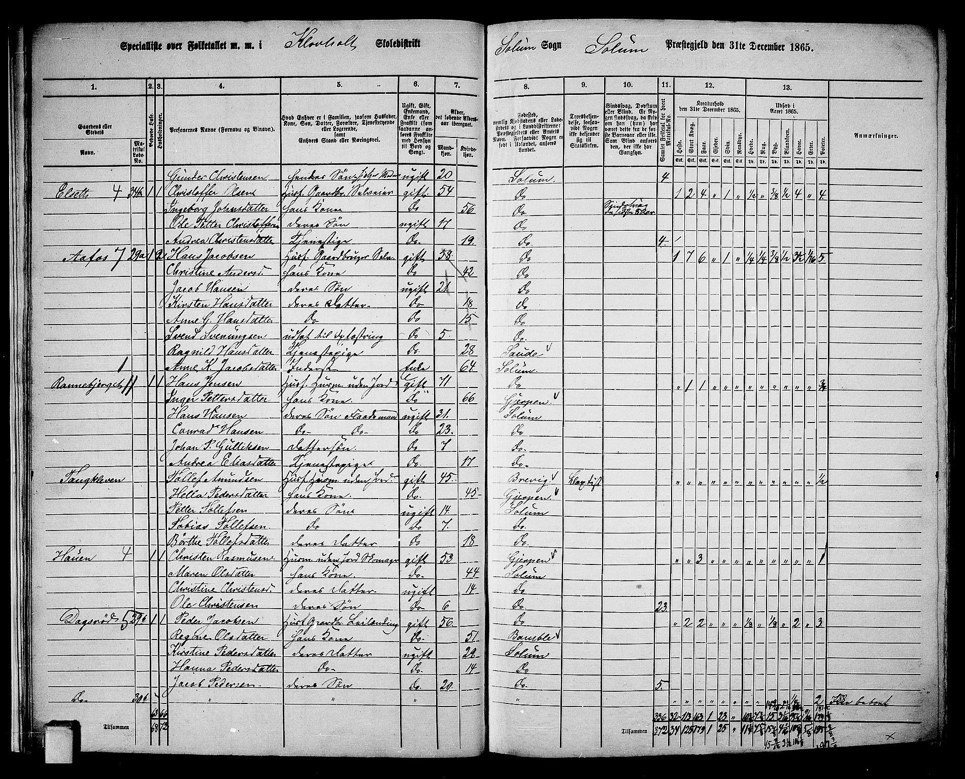 RA, 1865 census for Solum, 1865, p. 27