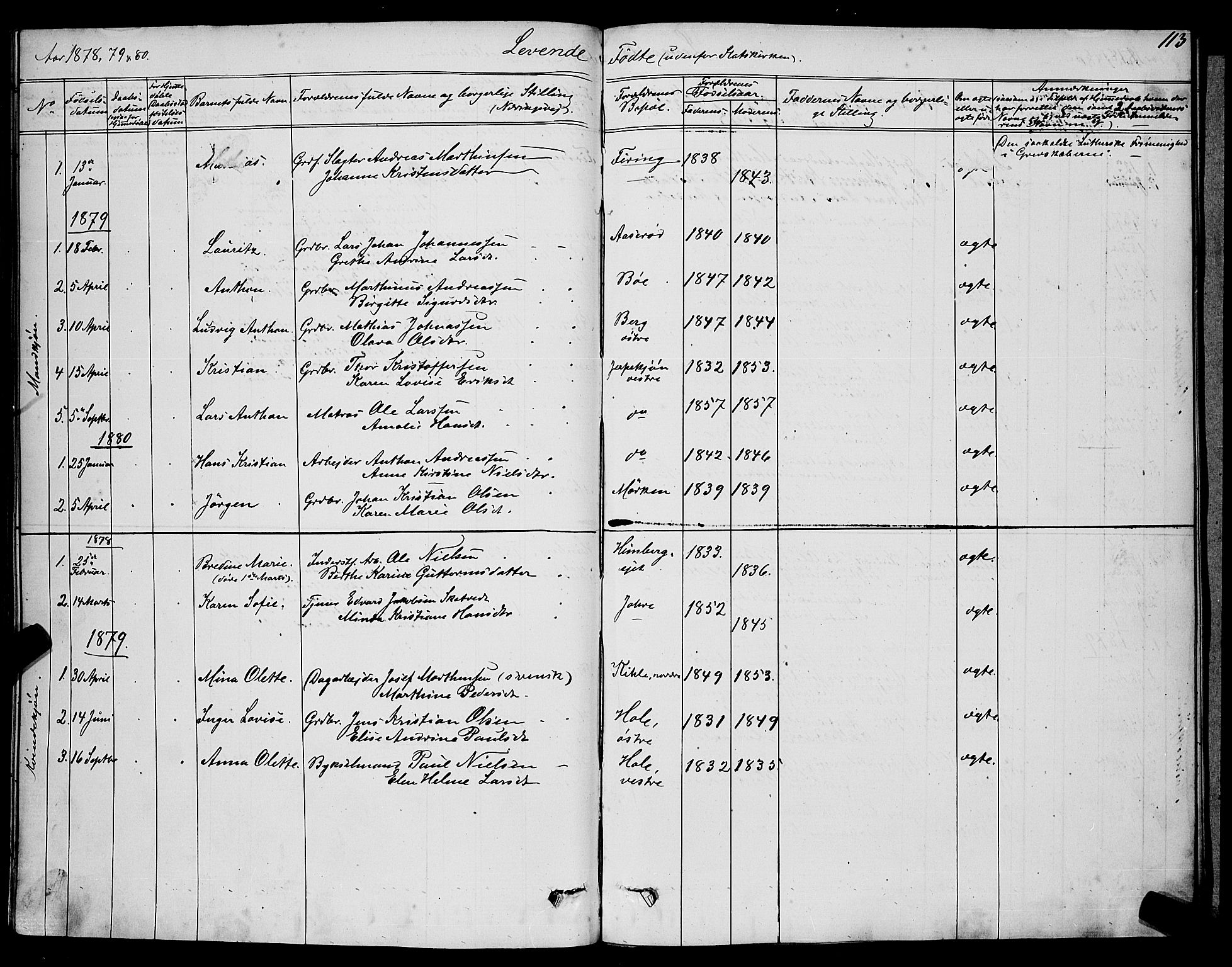 Ramnes kirkebøker, SAKO/A-314/G/Ga/L0003: Parish register (copy) no. I 3, 1870-1896, p. 113