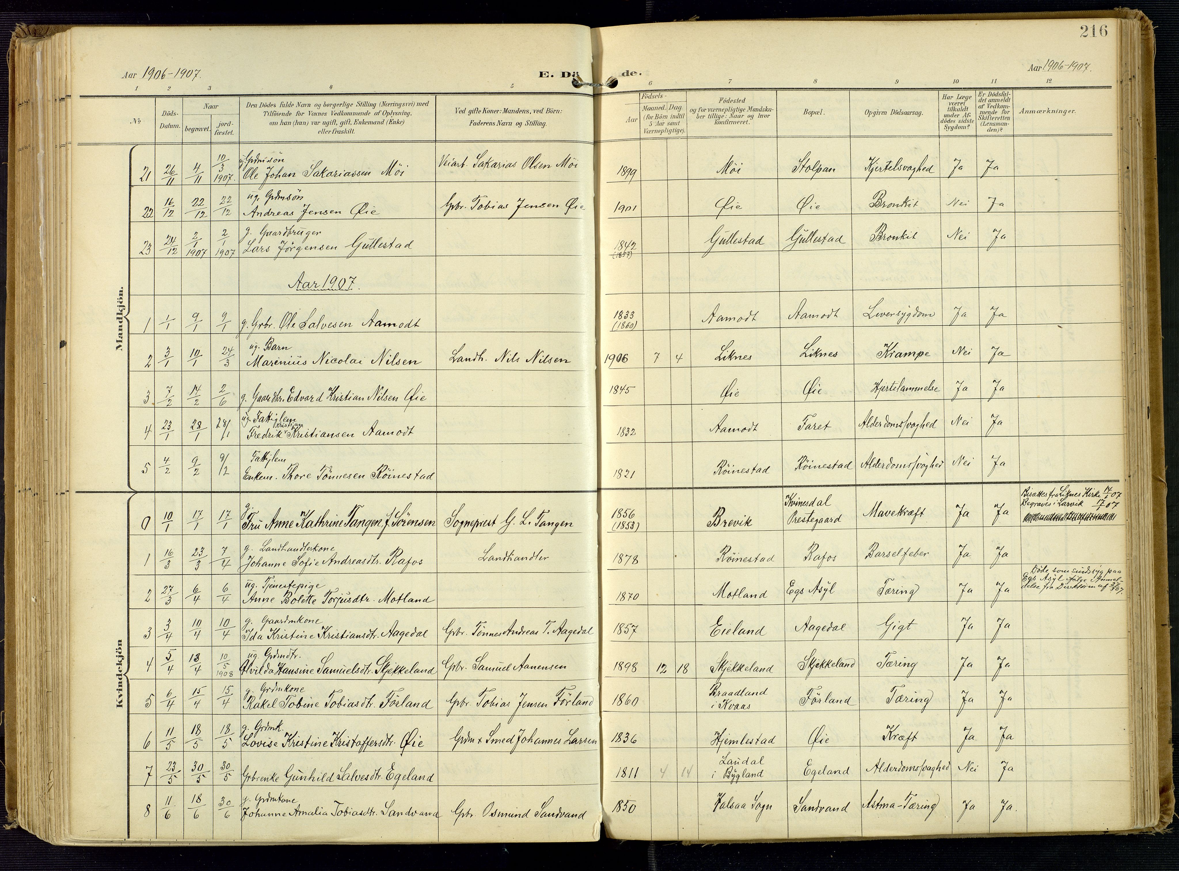 Kvinesdal sokneprestkontor, AV/SAK-1111-0026/F/Fa/Fab/L0009: Parish register (official) no. A 9, 1898-1915, p. 216