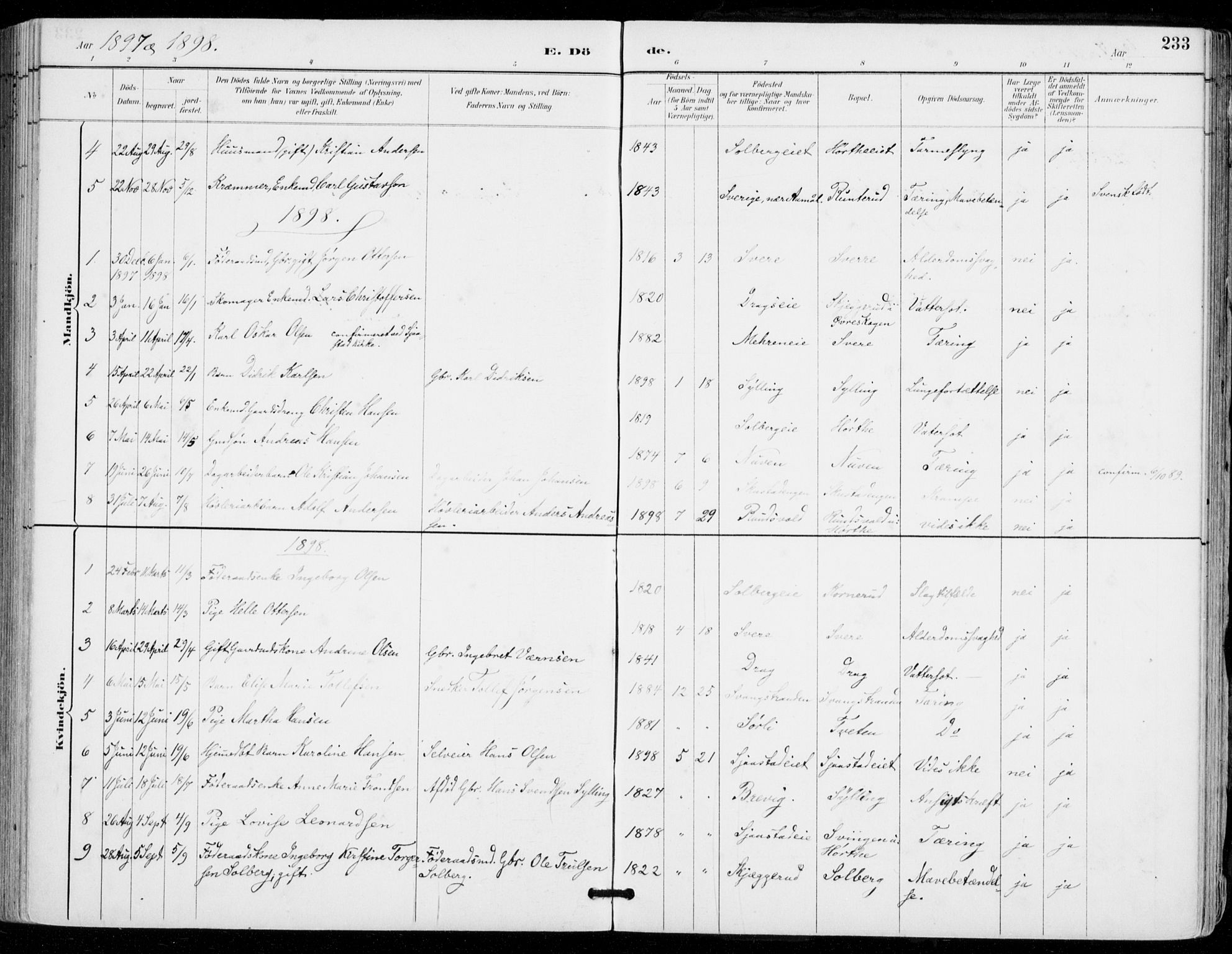 Sylling kirkebøker, AV/SAKO-A-247/F/Fa/L0001: Parish register (official) no. 1, 1883-1910, p. 233