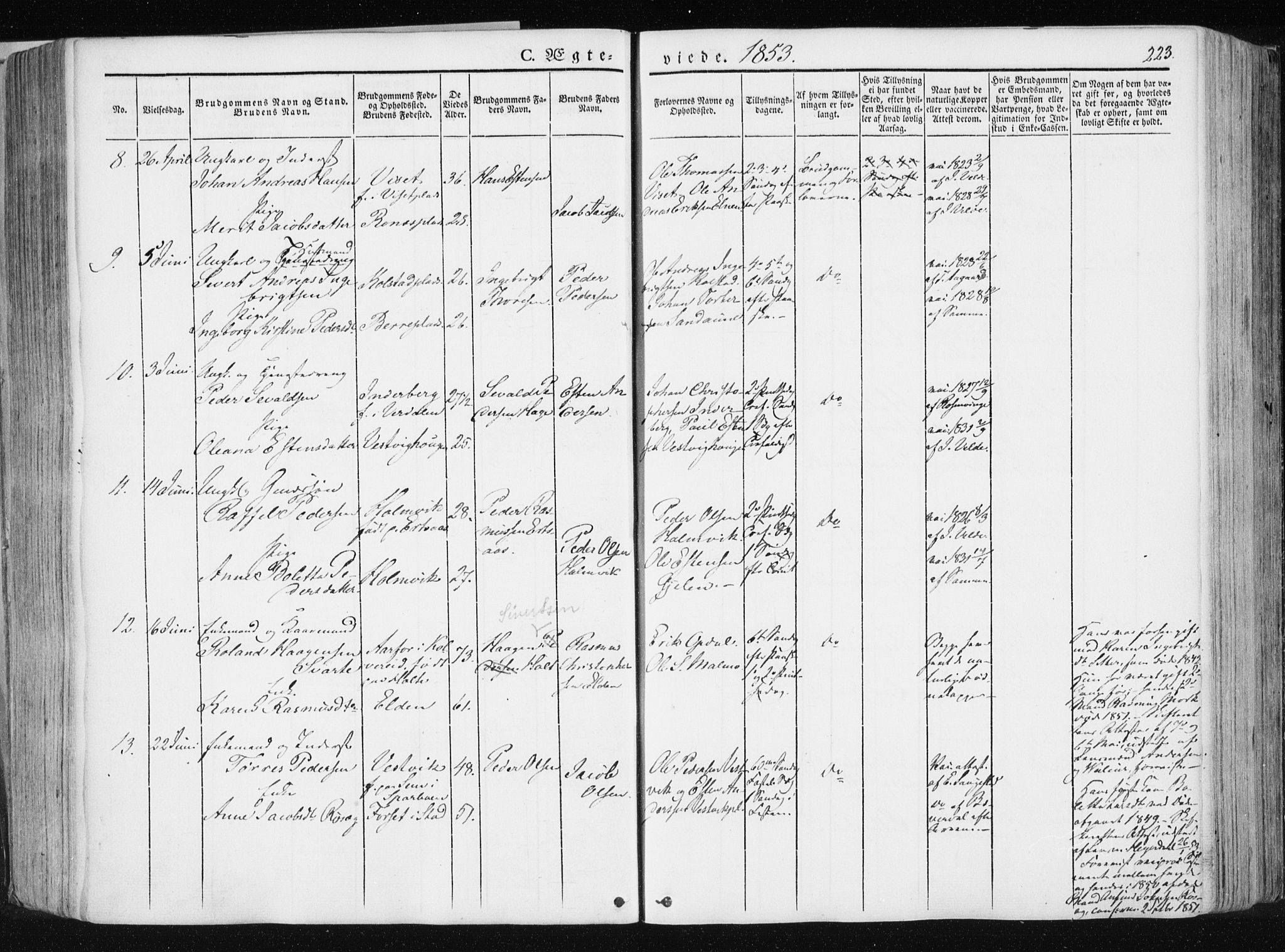 Ministerialprotokoller, klokkerbøker og fødselsregistre - Nord-Trøndelag, SAT/A-1458/741/L0393: Parish register (official) no. 741A07, 1849-1863, p. 223
