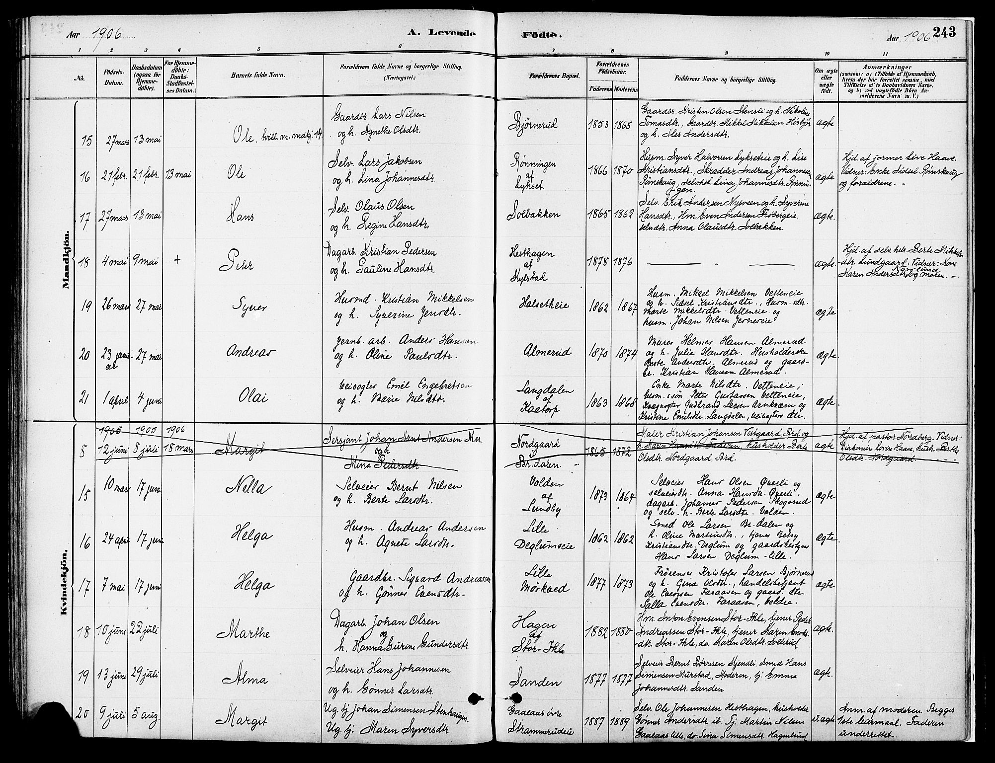 Vang prestekontor, Hedmark, AV/SAH-PREST-008/H/Ha/Haa/L0018A: Parish register (official) no. 18A, 1880-1906, p. 243