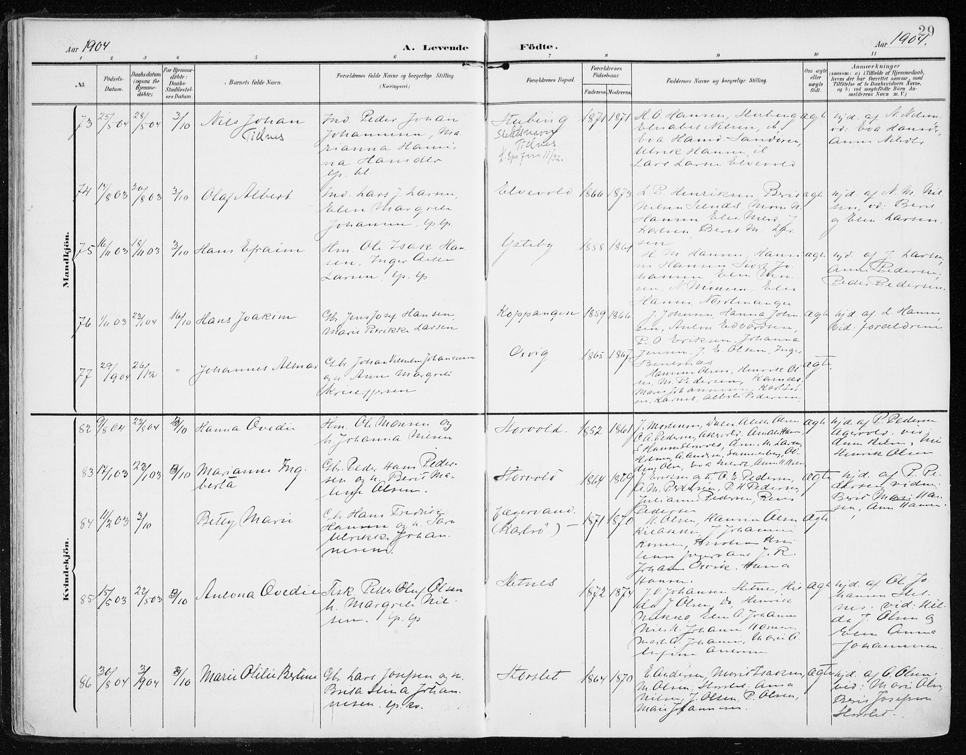 Lyngen sokneprestembete, AV/SATØ-S-1289/H/He/Hea/L0011kirke: Parish register (official) no. 11, 1903-1913, p. 29