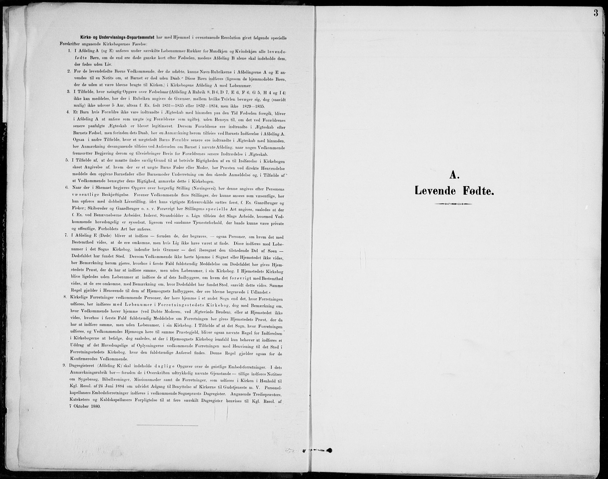 Vågå prestekontor, SAH/PREST-076/H/Ha/Hab/L0002: Parish register (copy) no. 2, 1894-1939, p. 3