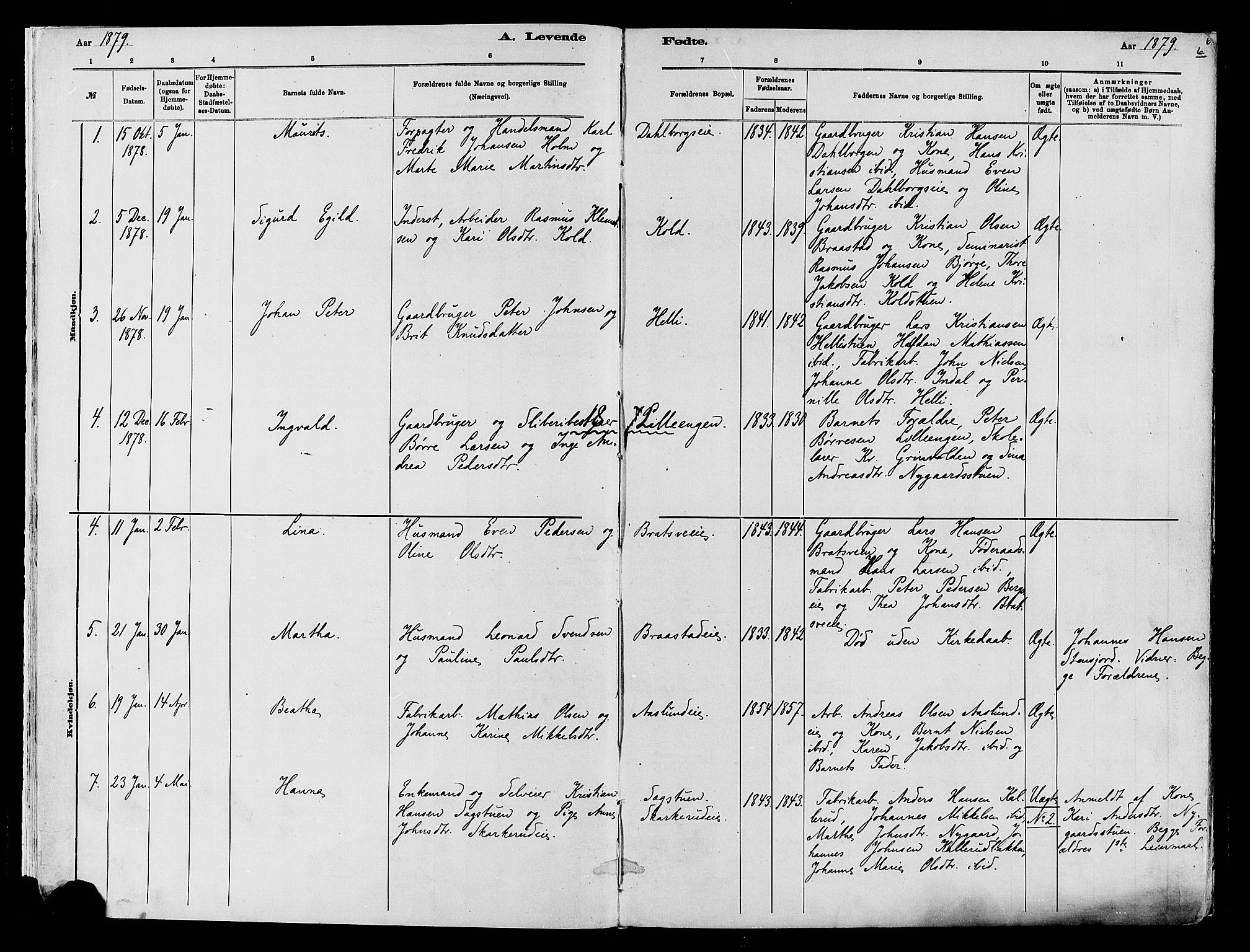 Vardal prestekontor, AV/SAH-PREST-100/H/Ha/Haa/L0009: Parish register (official) no. 9, 1878-1892, p. 6