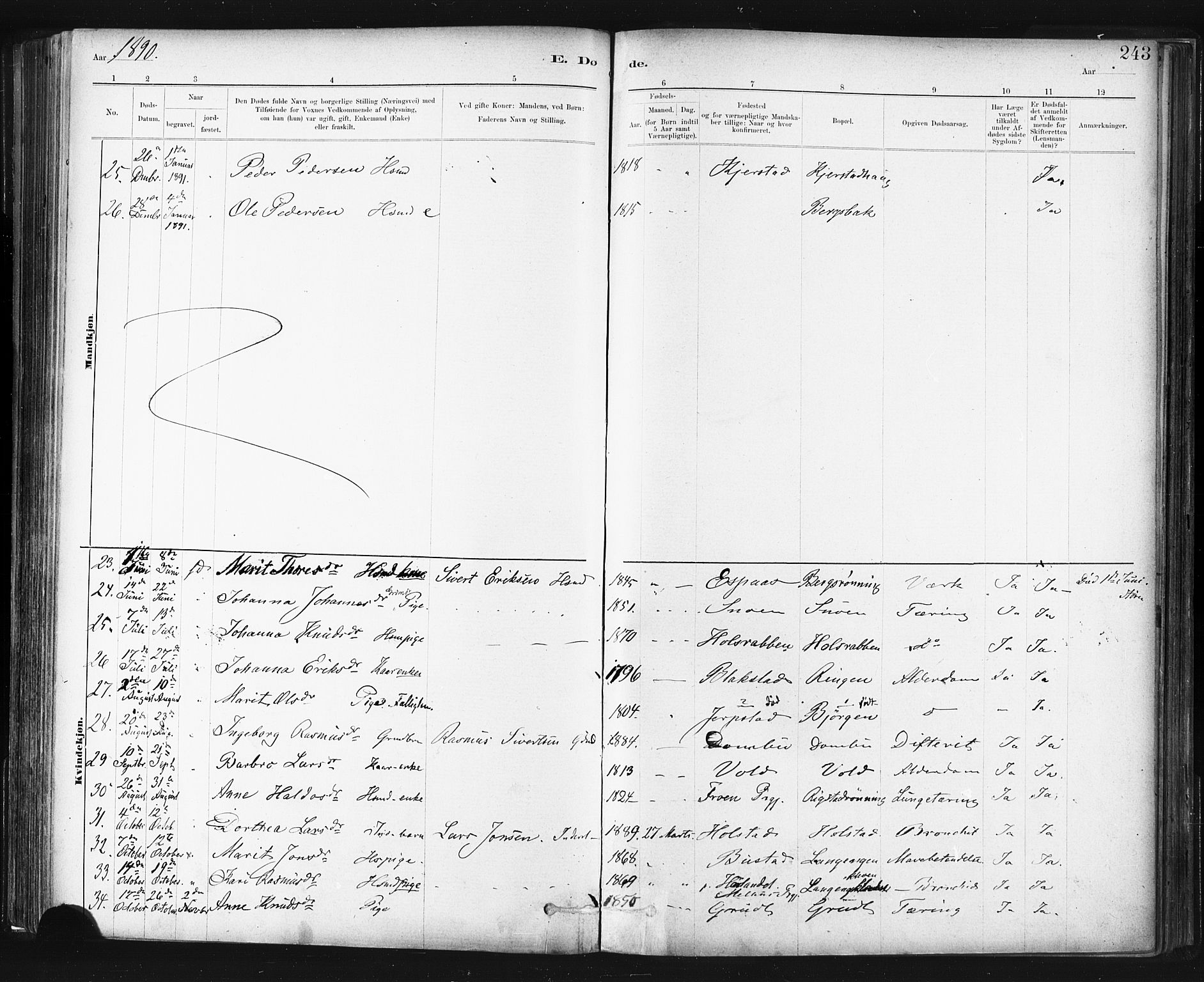 Ministerialprotokoller, klokkerbøker og fødselsregistre - Sør-Trøndelag, SAT/A-1456/672/L0857: Parish register (official) no. 672A09, 1882-1893, p. 243