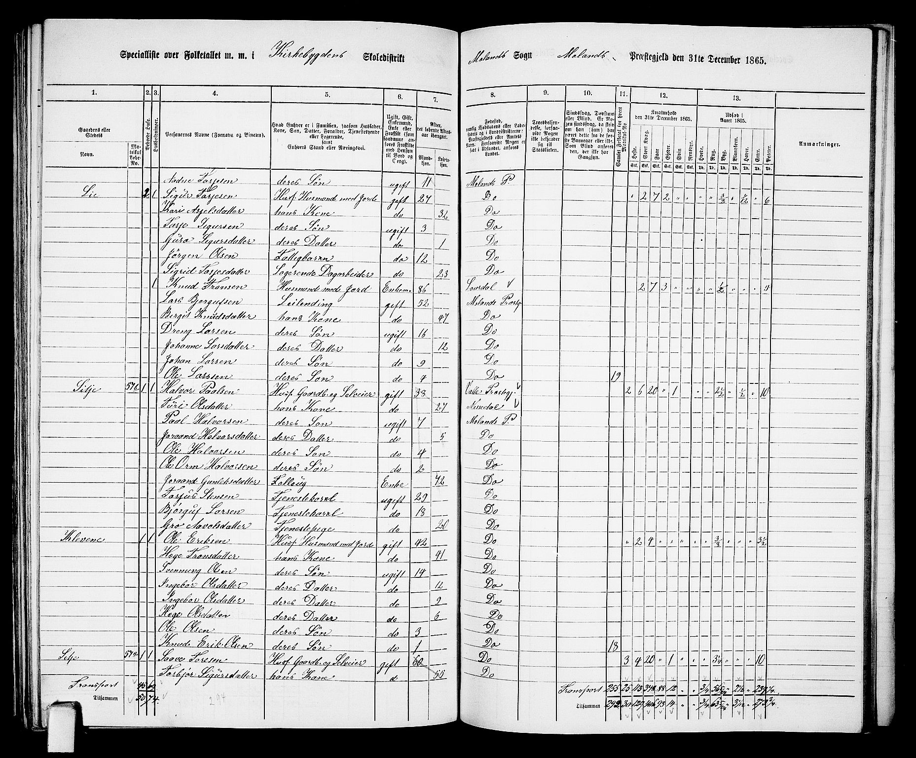 RA, 1865 census for Moland, 1865, p. 56