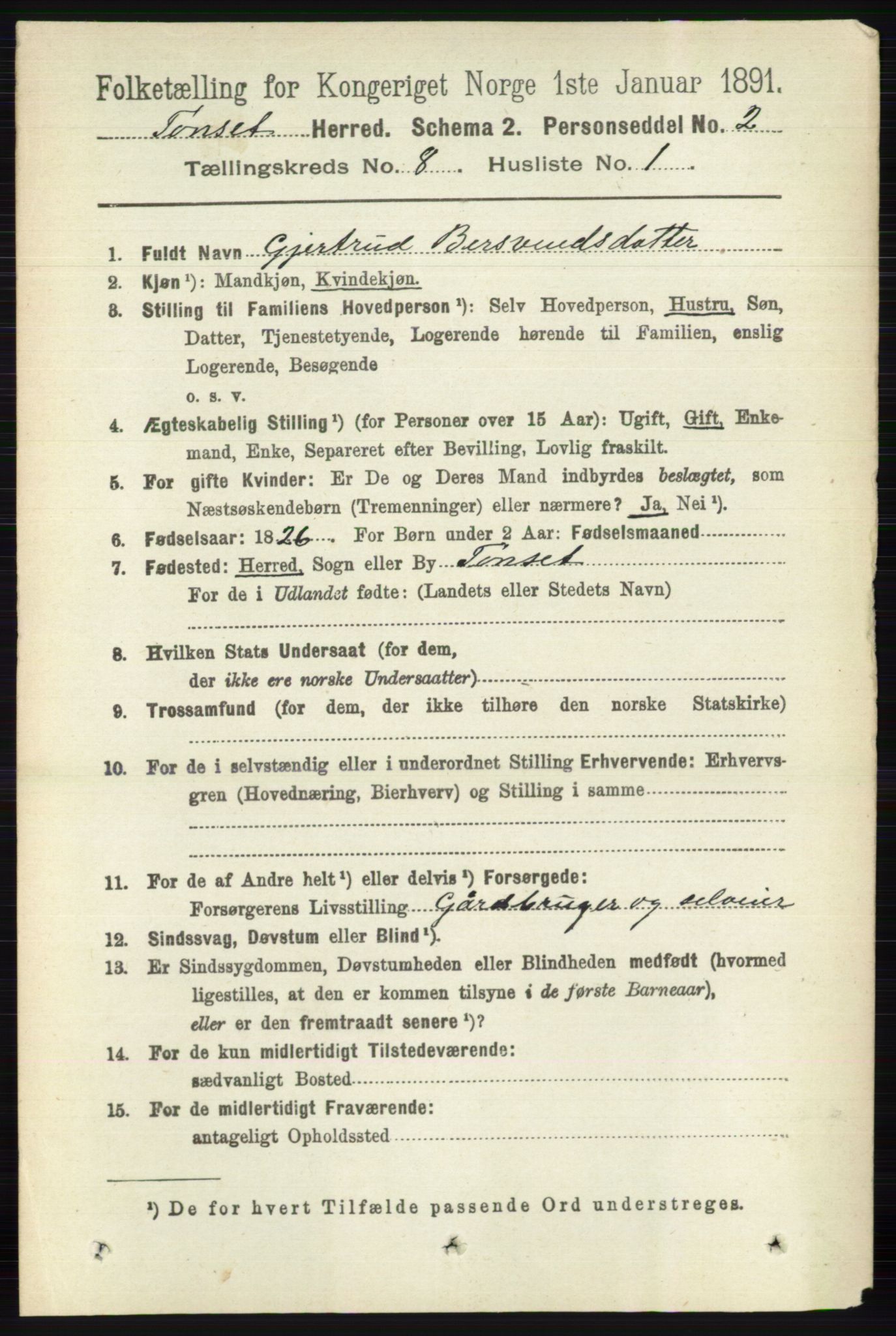 RA, 1891 census for 0437 Tynset, 1891, p. 2076