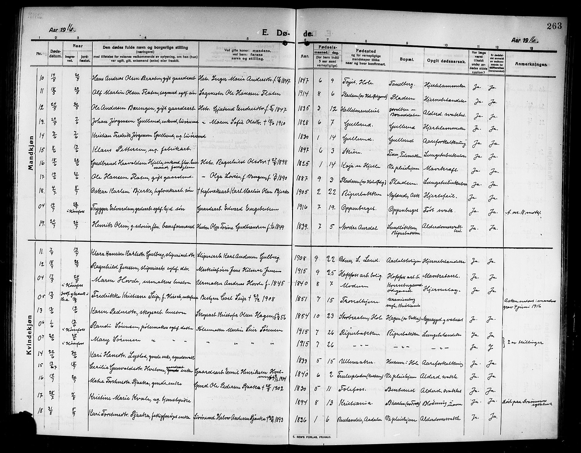 Norderhov kirkebøker, SAKO/A-237/G/Ga/L0009: Parish register (copy) no. I 9, 1913-1920, p. 263