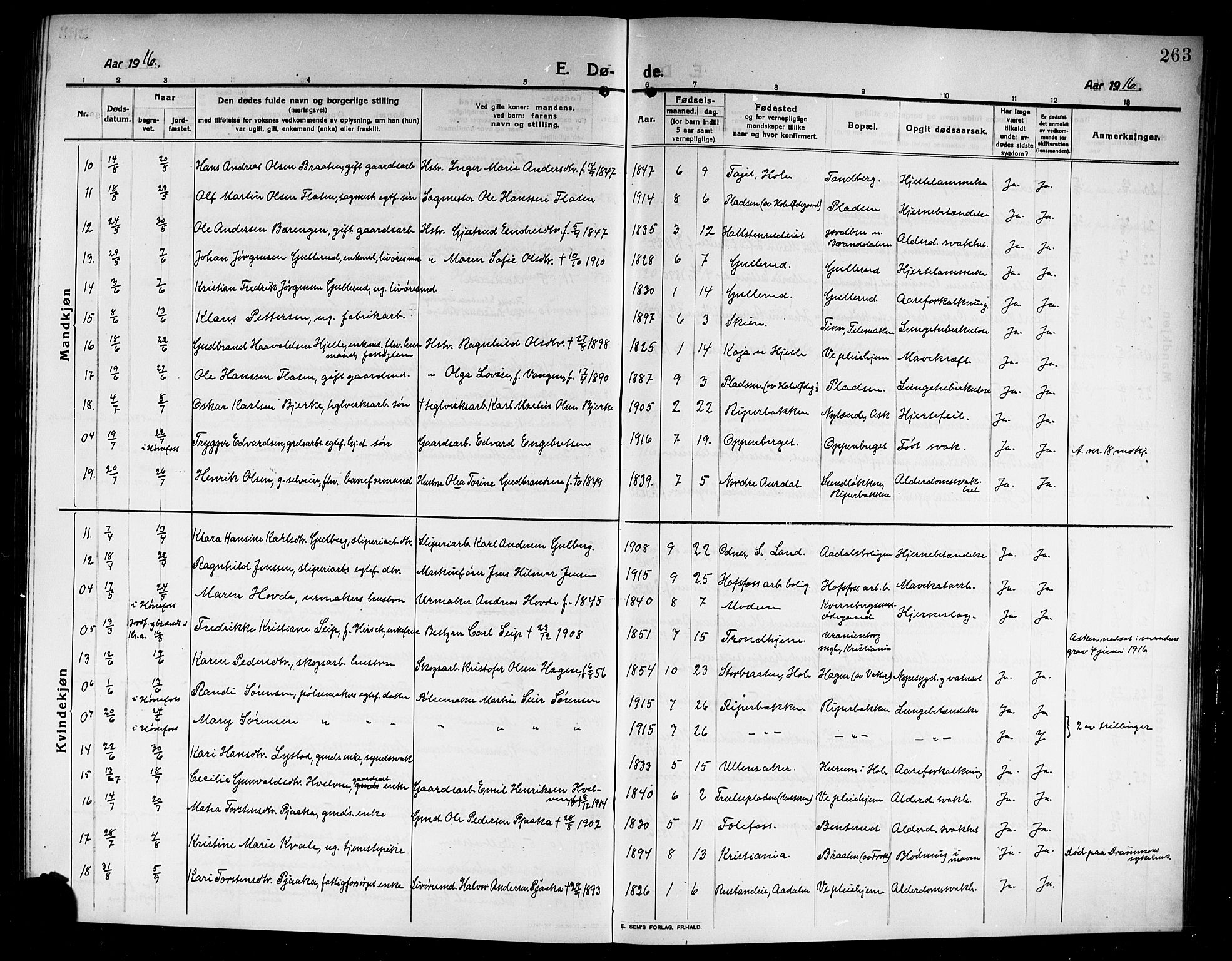 Norderhov kirkebøker, AV/SAKO-A-237/G/Ga/L0009: Parish register (copy) no. I 9, 1913-1920, p. 263