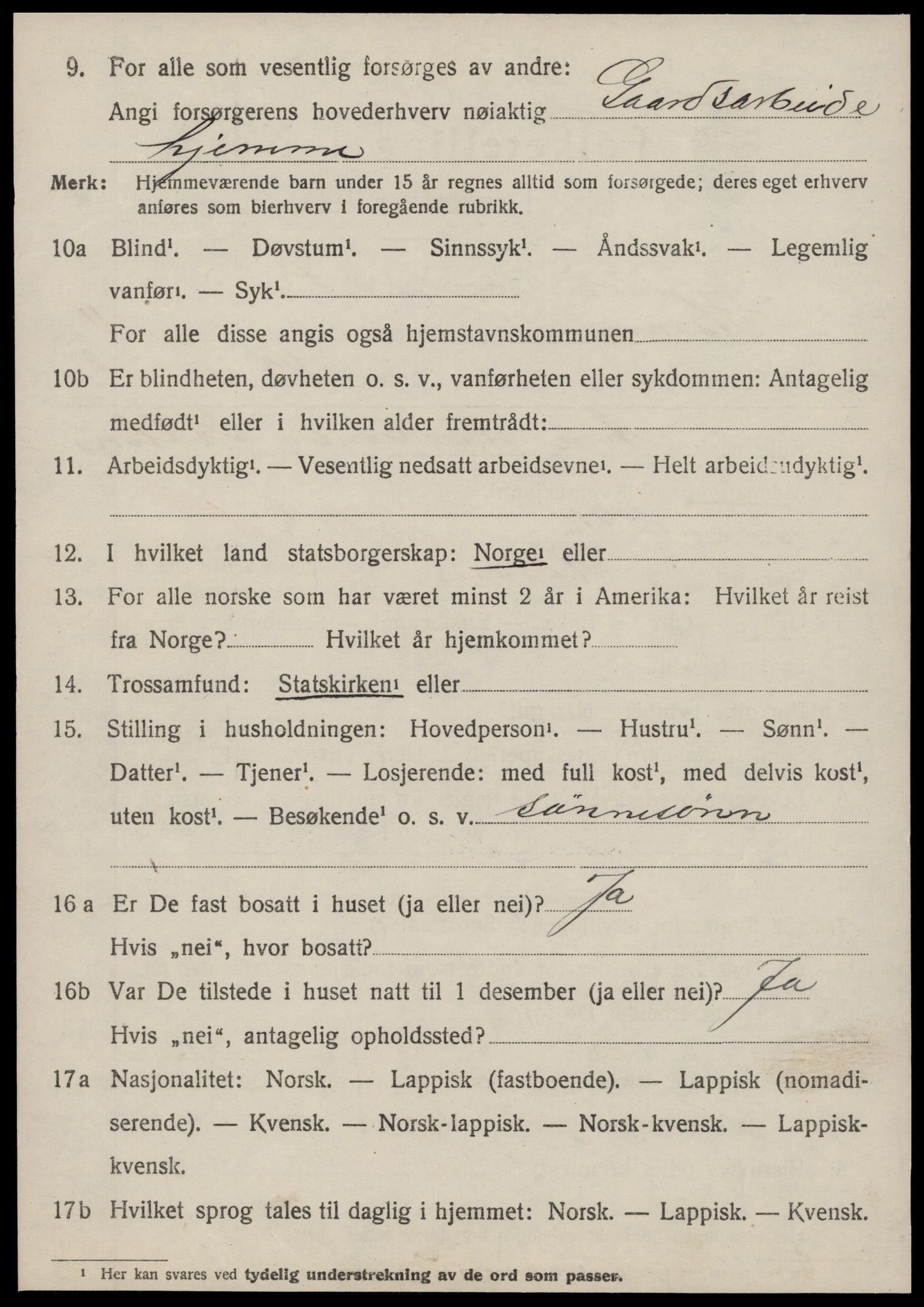 SAT, 1920 census for Hemne, 1920, p. 7051