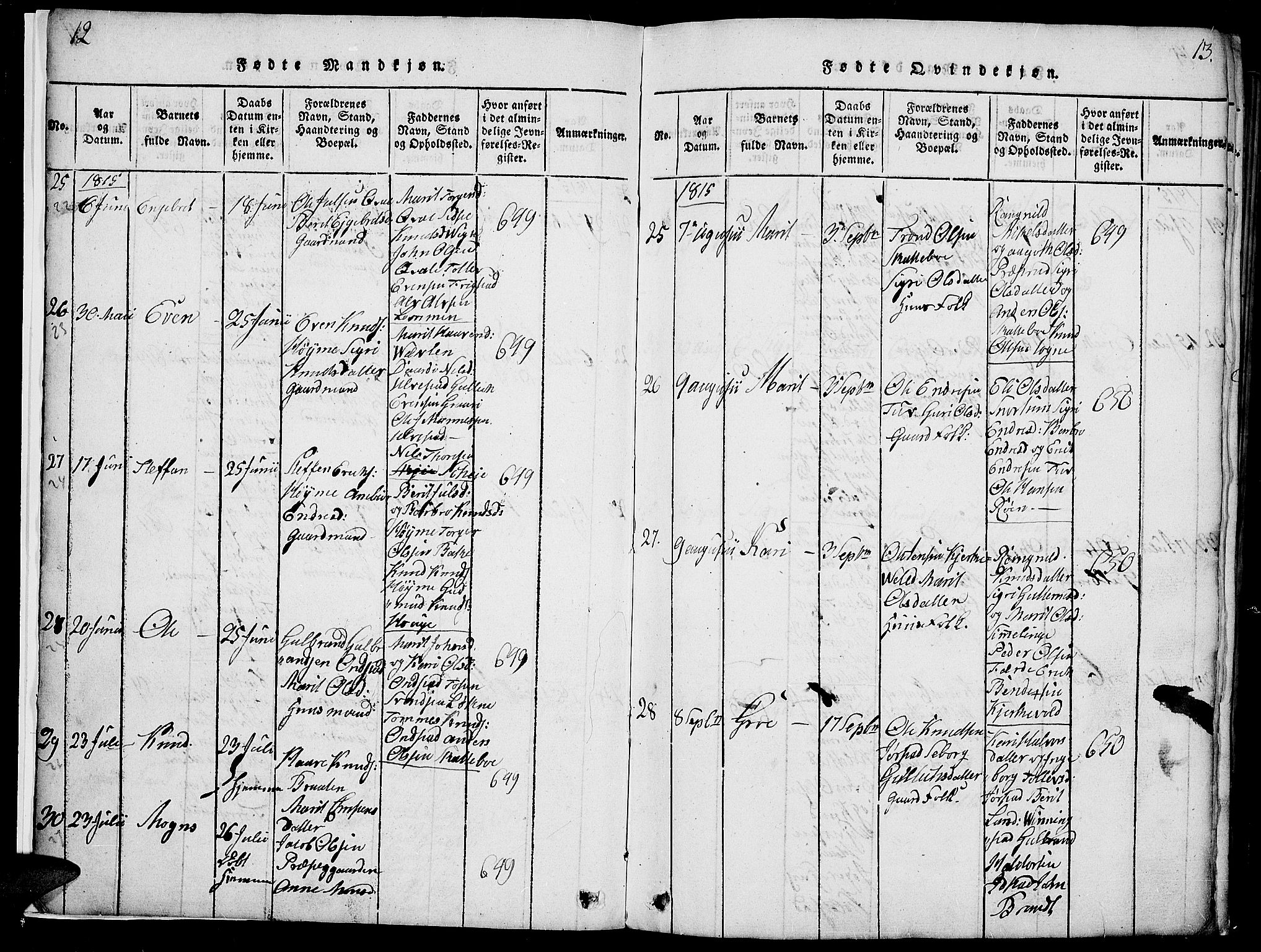Slidre prestekontor, SAH/PREST-134/H/Ha/Haa/L0002: Parish register (official) no. 2, 1814-1830, p. 12-13
