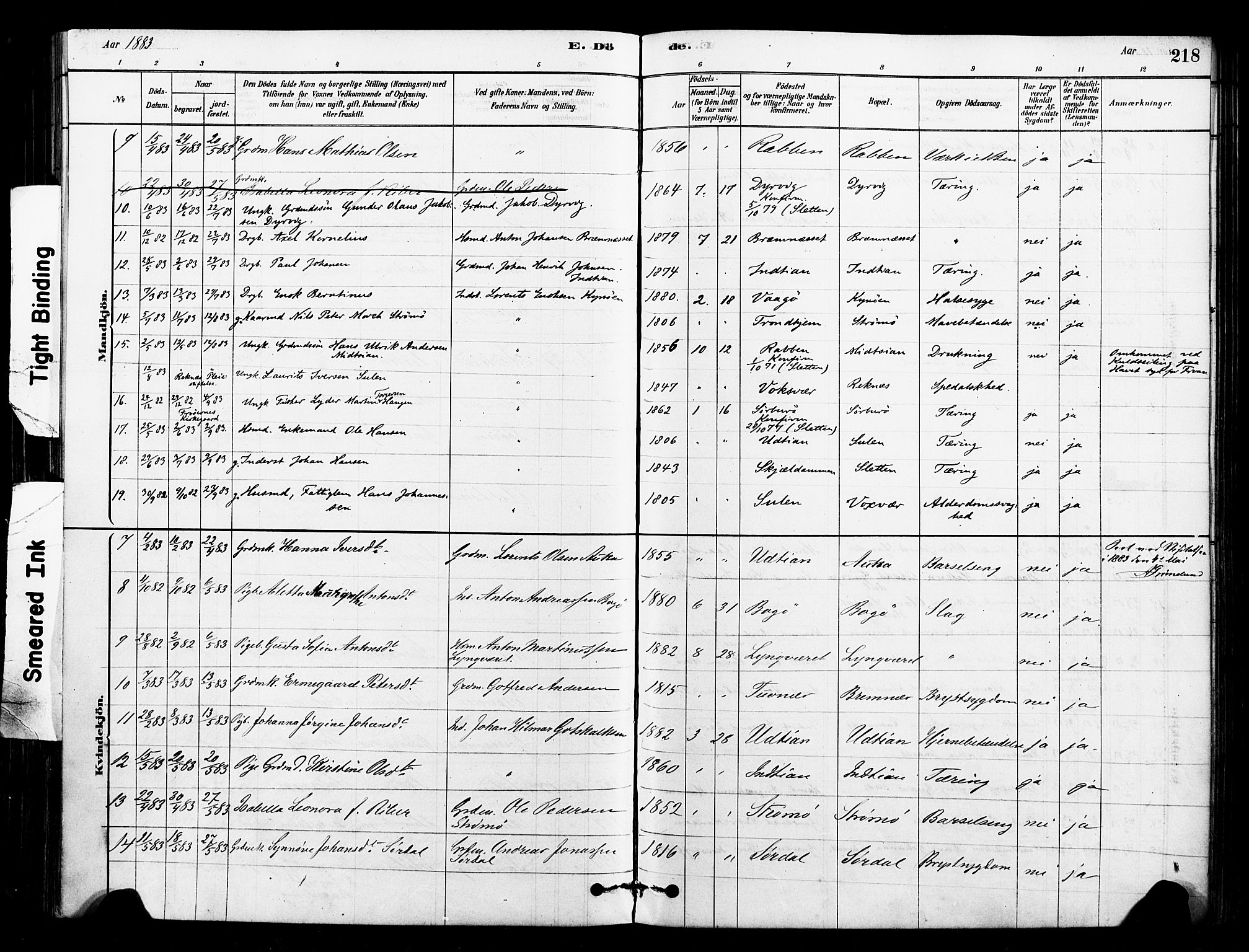 Ministerialprotokoller, klokkerbøker og fødselsregistre - Sør-Trøndelag, AV/SAT-A-1456/640/L0578: Parish register (official) no. 640A03, 1879-1889, p. 218