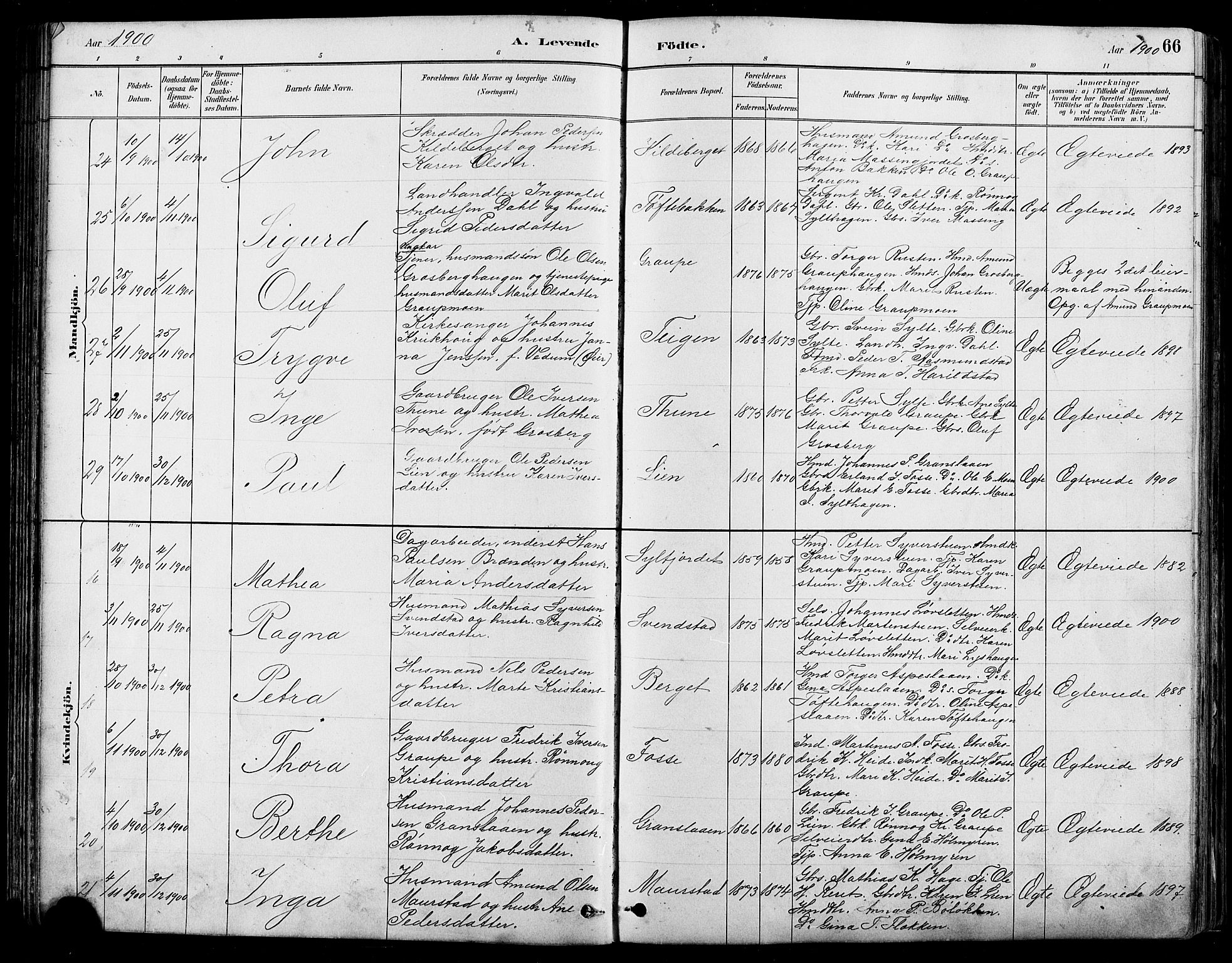 Nord-Fron prestekontor, SAH/PREST-080/H/Ha/Hab/L0005: Parish register (copy) no. 5, 1884-1914, p. 66