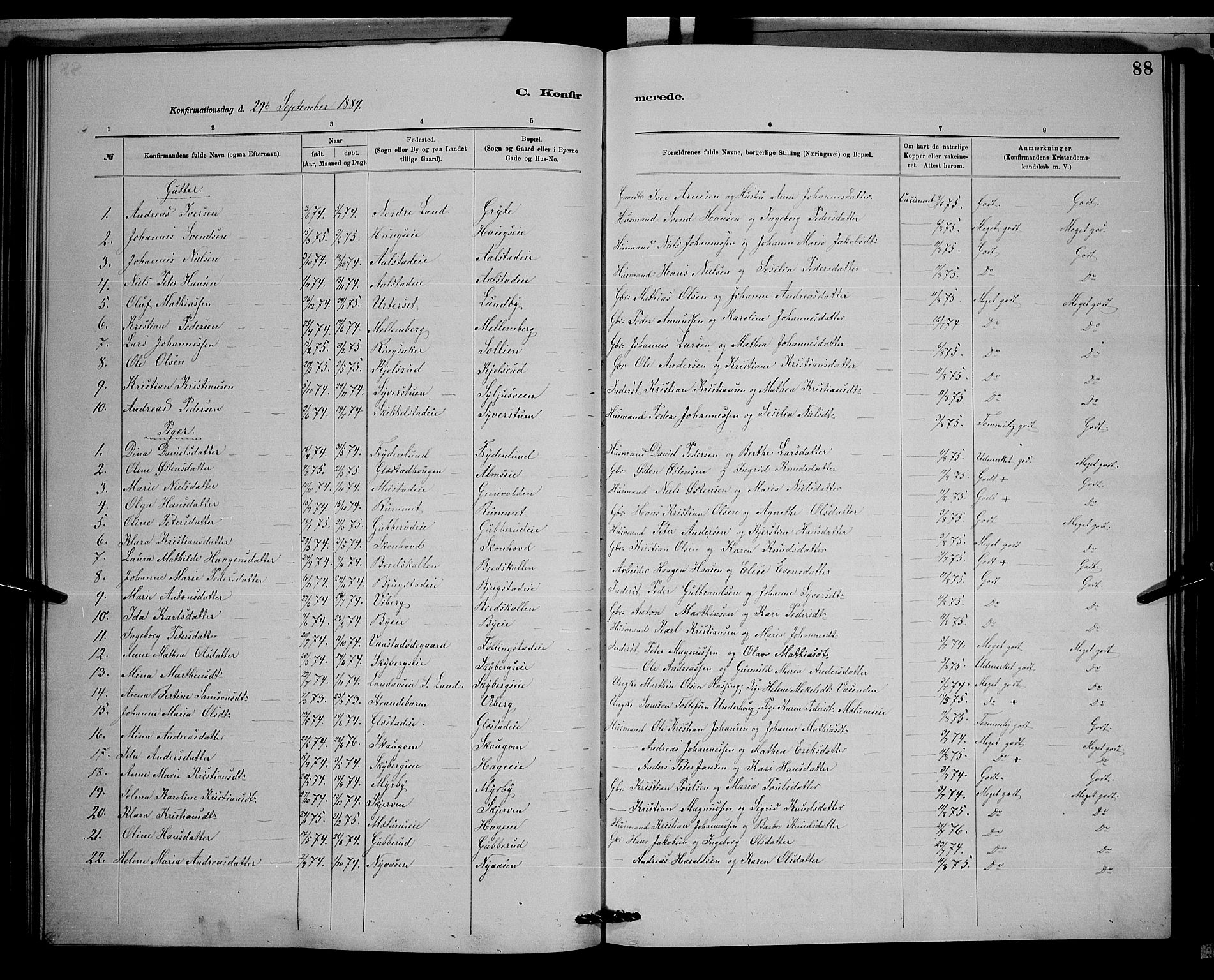 Vardal prestekontor, SAH/PREST-100/H/Ha/Hab/L0008: Parish register (copy) no. 8, 1881-1898, p. 88