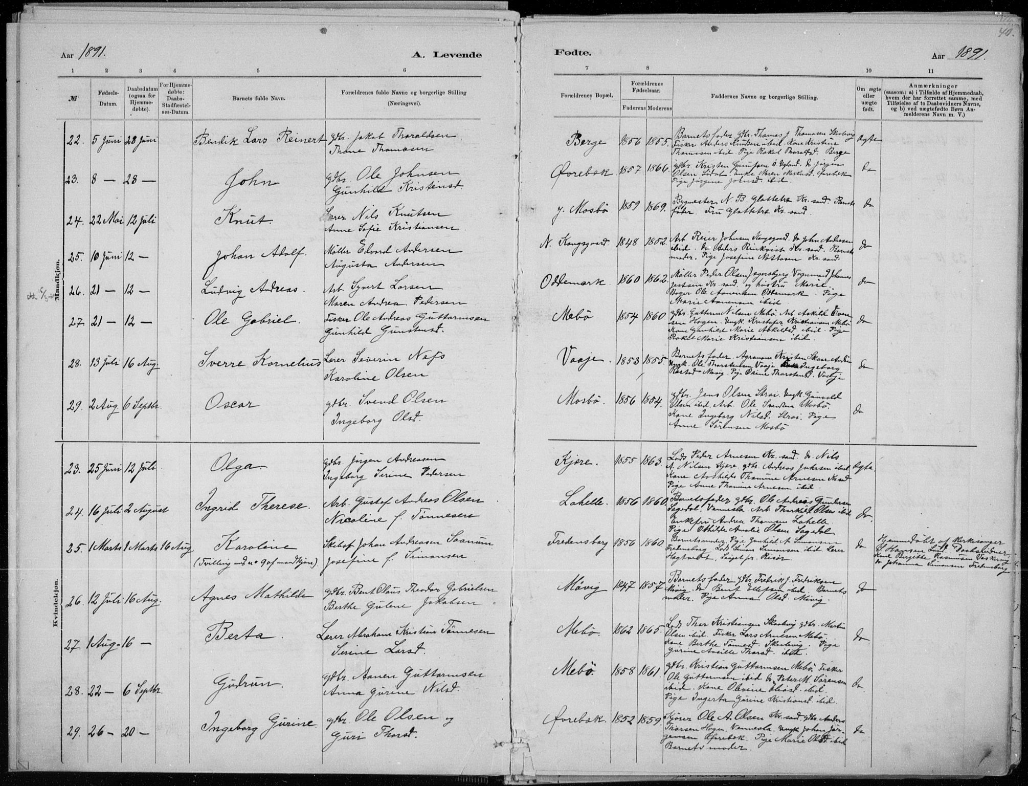 Oddernes sokneprestkontor, SAK/1111-0033/F/Fa/Faa/L0009: Parish register (official) no. A 9, 1884-1896, p. 40