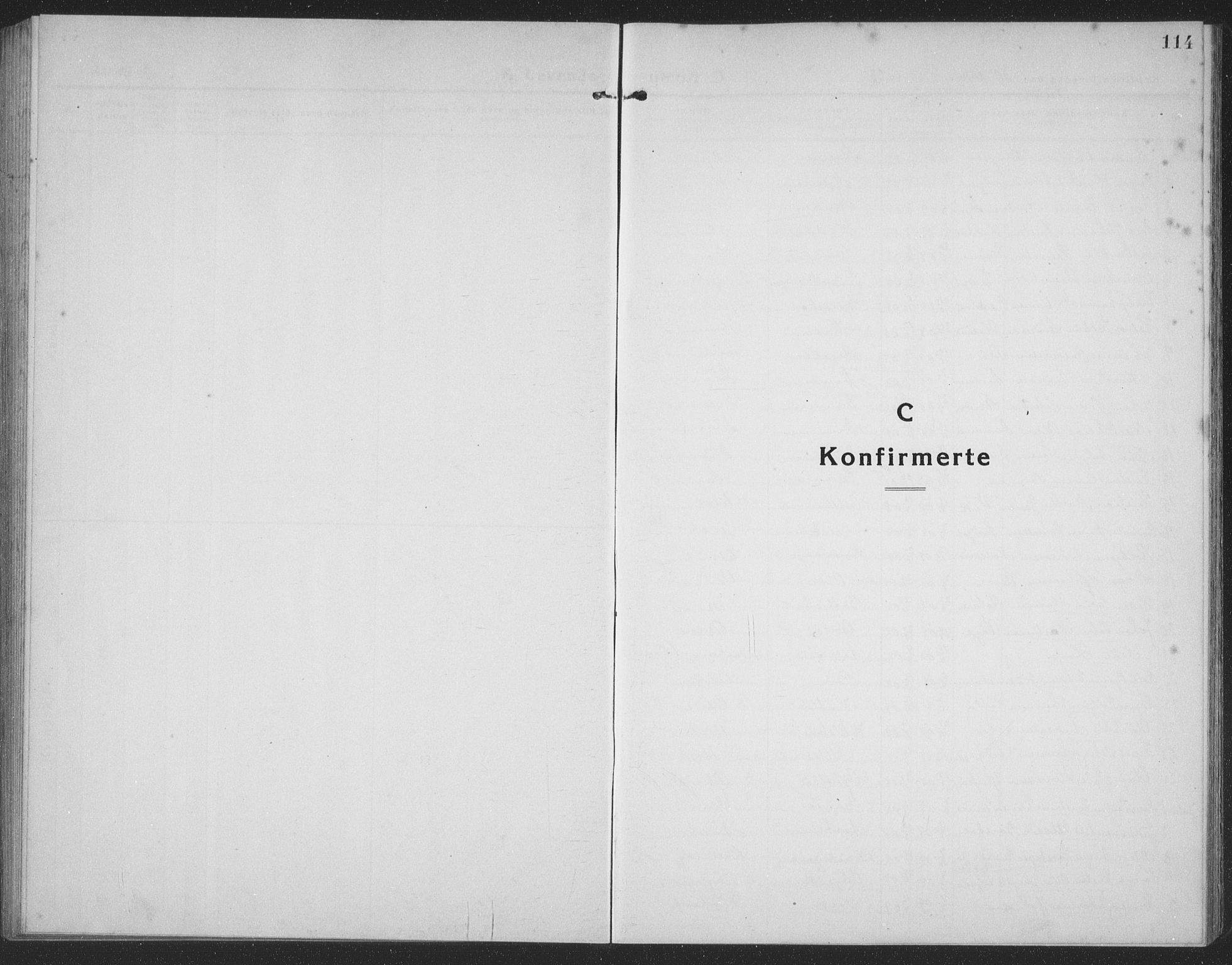 Ministerialprotokoller, klokkerbøker og fødselsregistre - Møre og Romsdal, SAT/A-1454/509/L0113: Parish register (copy) no. 509C03, 1923-1939, p. 114