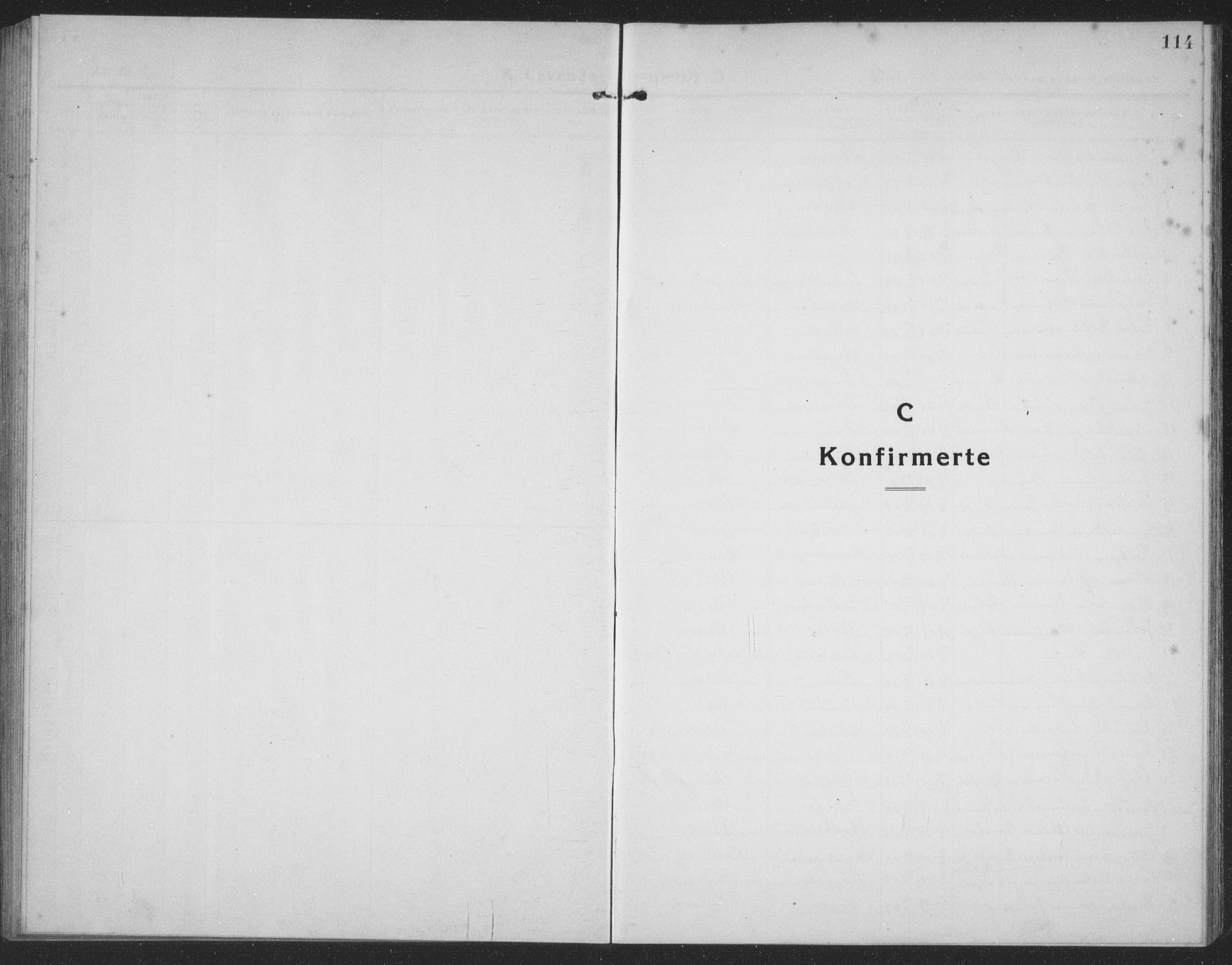 Ministerialprotokoller, klokkerbøker og fødselsregistre - Møre og Romsdal, AV/SAT-A-1454/509/L0113: Parish register (copy) no. 509C03, 1923-1939, p. 114