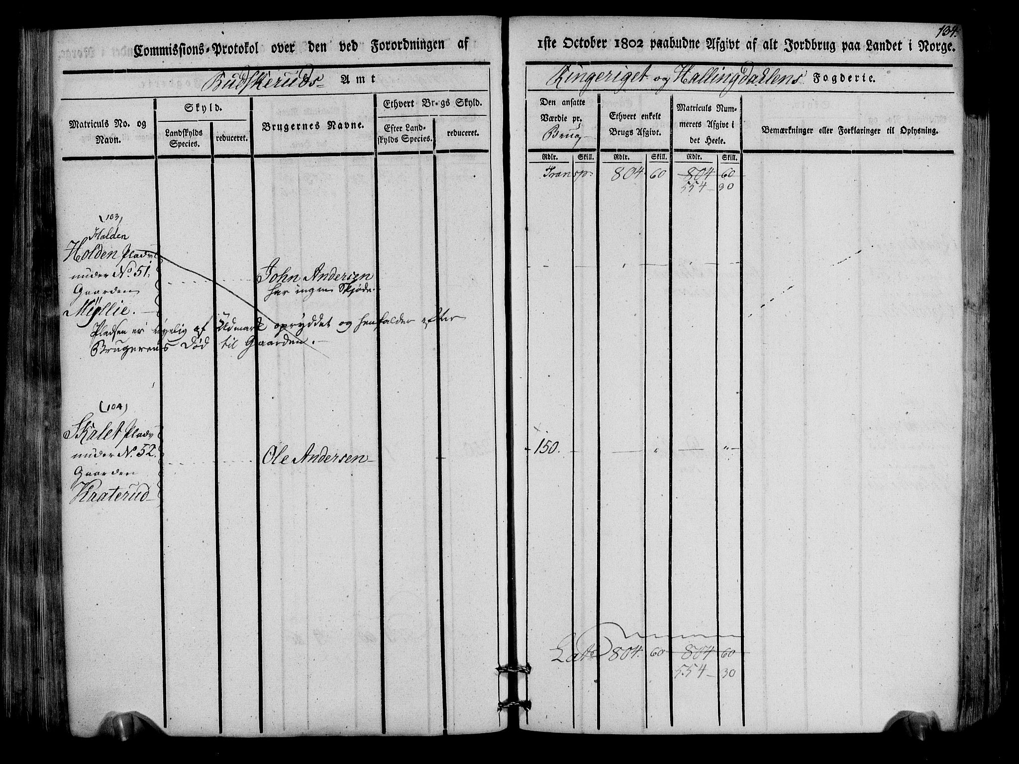 Rentekammeret inntil 1814, Realistisk ordnet avdeling, RA/EA-4070/N/Ne/Nea/L0047: Ringerike og Hallingdal fogderi. Kommisjonsprotokoll for Nes prestegjeld, 1803, p. 137