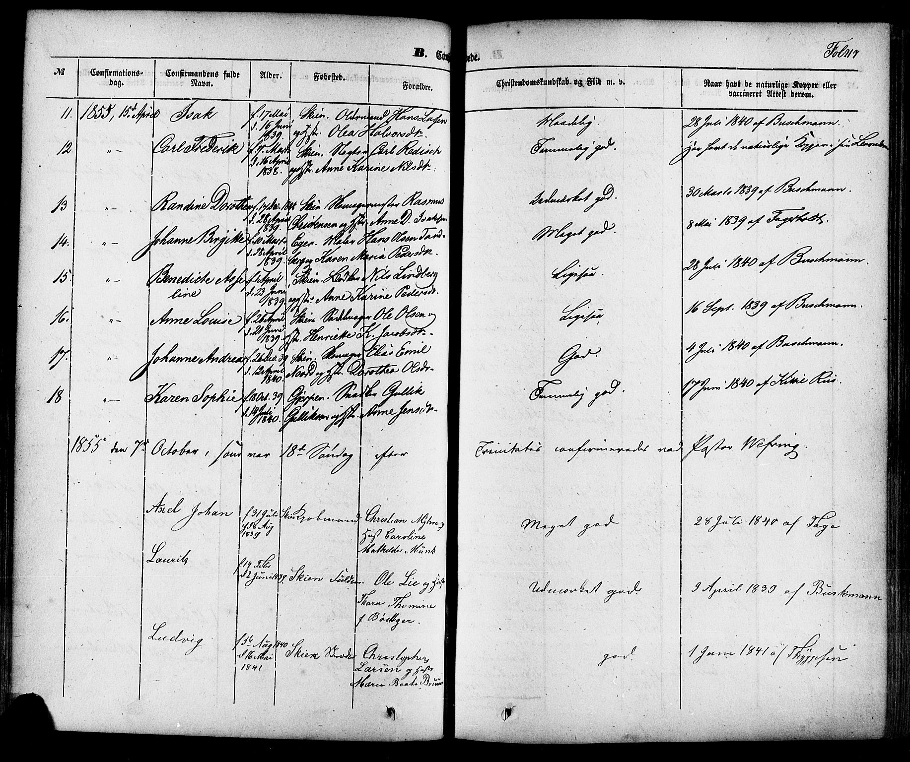 Skien kirkebøker, SAKO/A-302/F/Fa/L0006a: Parish register (official) no. 6A, 1843-1856, p. 217