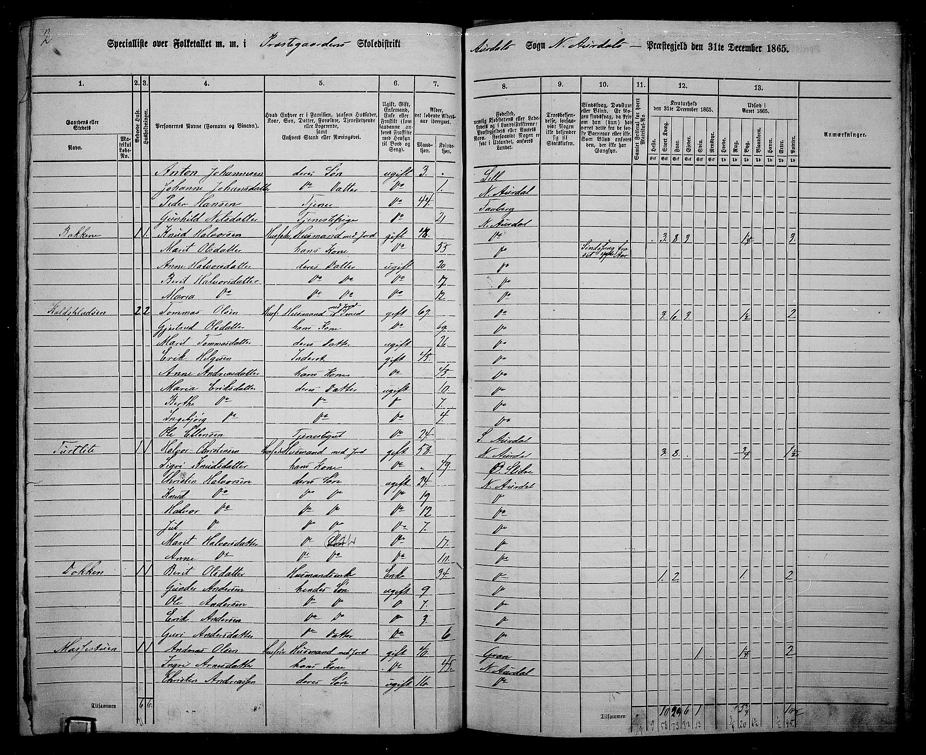 RA, 1865 census for Nord-Aurdal, 1865, p. 165