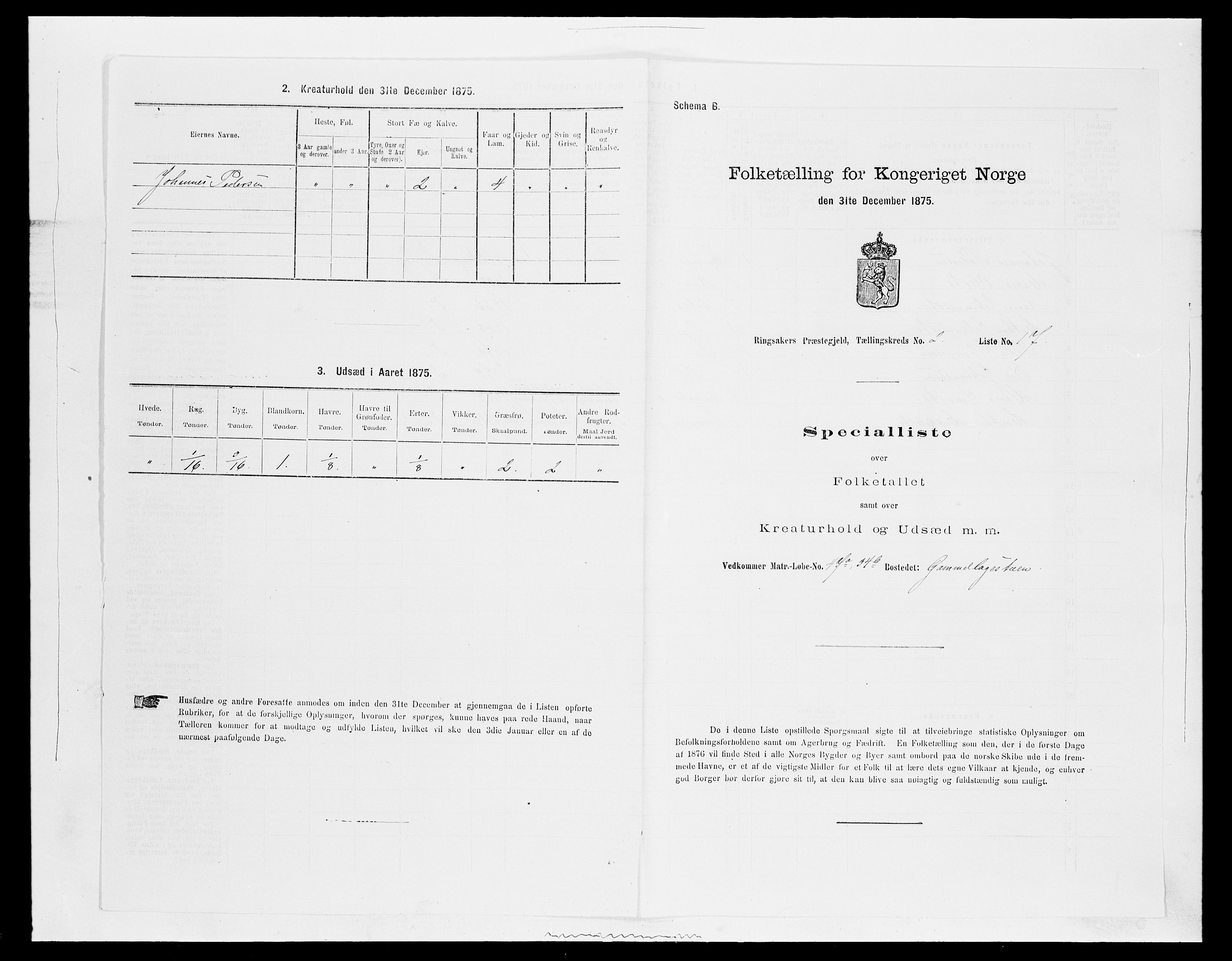 SAH, 1875 census for 0412P Ringsaker, 1875, p. 469