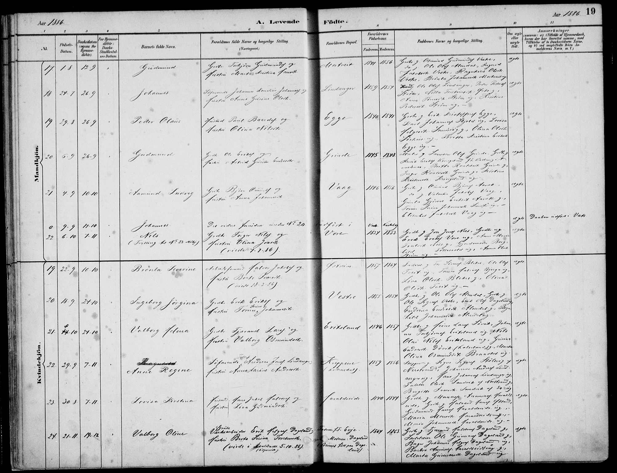 Skjold sokneprestkontor, SAST/A-101847/H/Ha/Haa/L0010: Parish register (official) no. A 10, 1882-1897, p. 19