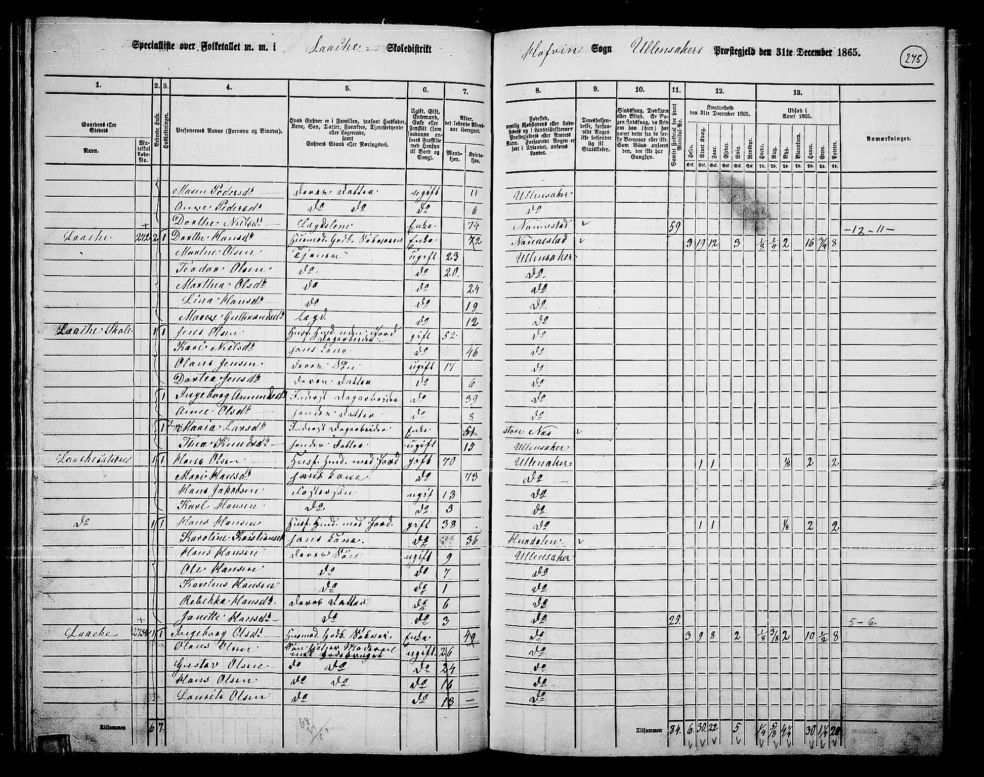 RA, 1865 census for Ullensaker, 1865, p. 241