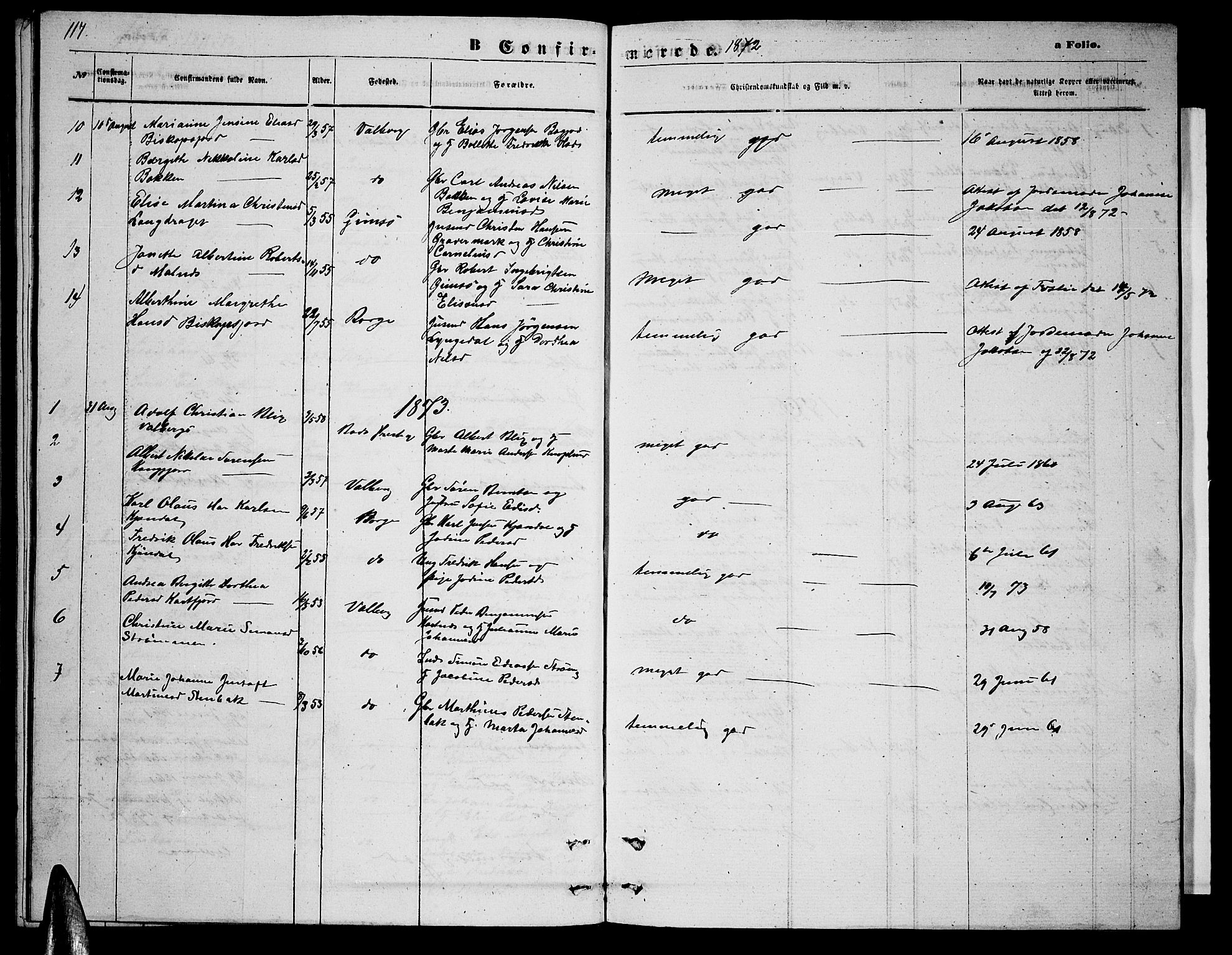 Ministerialprotokoller, klokkerbøker og fødselsregistre - Nordland, AV/SAT-A-1459/884/L1196: Parish register (copy) no. 884C02, 1860-1887, p. 117