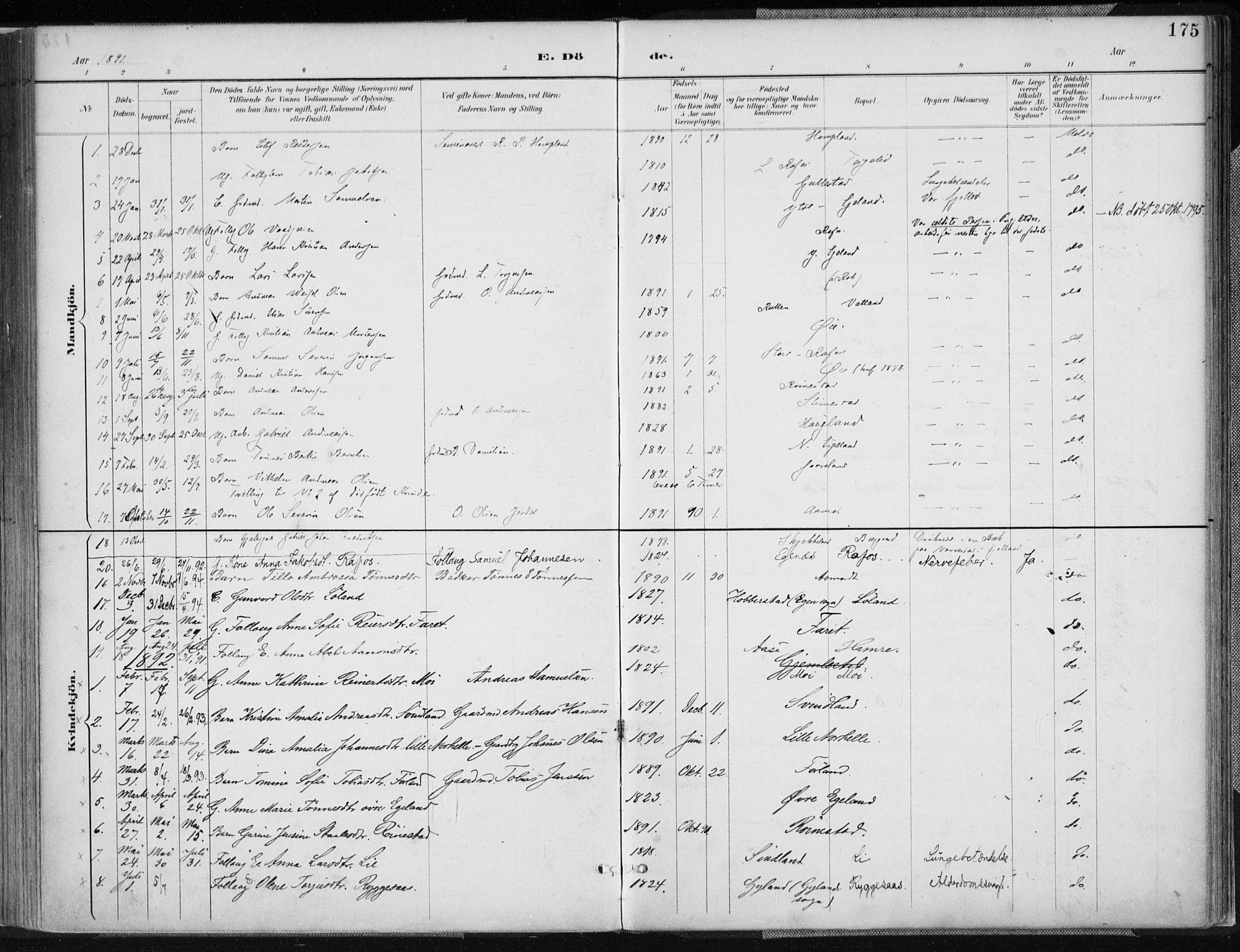 Kvinesdal sokneprestkontor, AV/SAK-1111-0026/F/Fa/Fab/L0008: Parish register (official) no. A 8, 1886-1897, p. 175