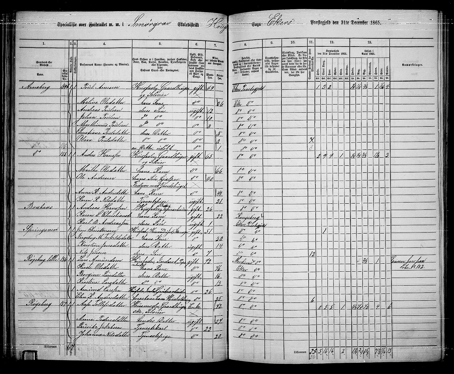 RA, 1865 census for Eiker, 1865, p. 49