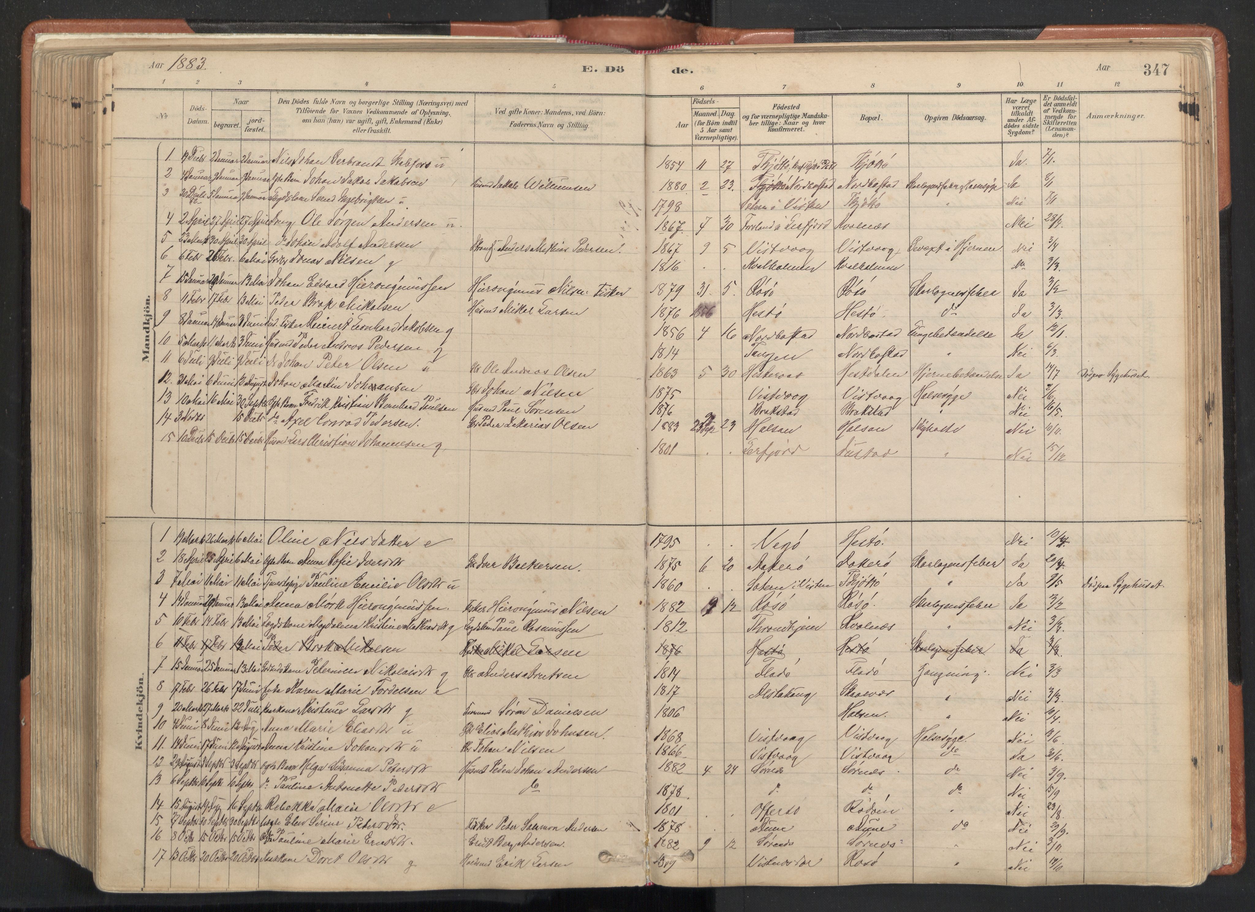 Ministerialprotokoller, klokkerbøker og fødselsregistre - Nordland, SAT/A-1459/817/L0264: Parish register (official) no. 817A04, 1878-1907, p. 347
