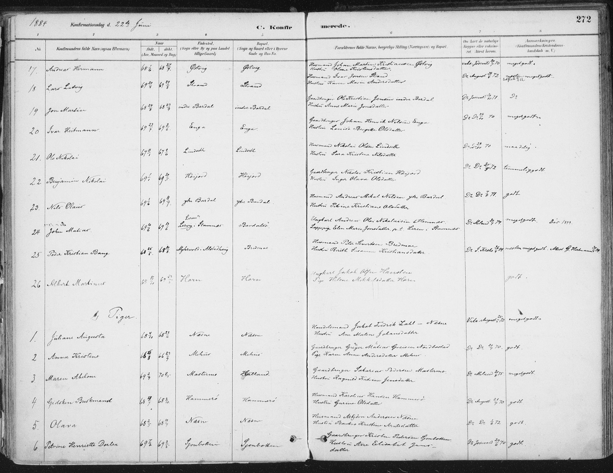 Ministerialprotokoller, klokkerbøker og fødselsregistre - Nordland, AV/SAT-A-1459/838/L0552: Parish register (official) no. 838A10, 1880-1910, p. 272