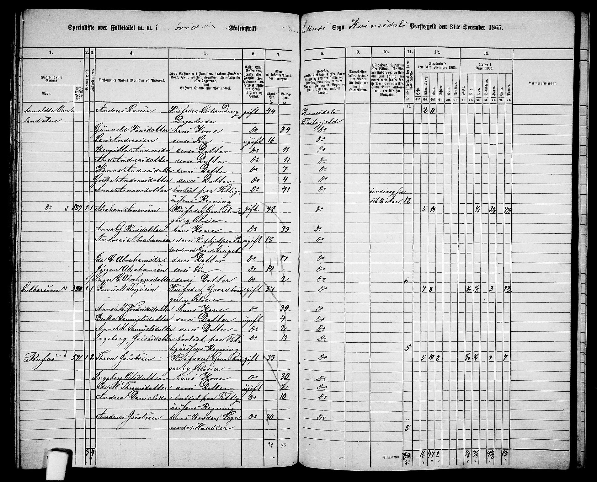 RA, 1865 census for Kvinesdal, 1865, p. 162