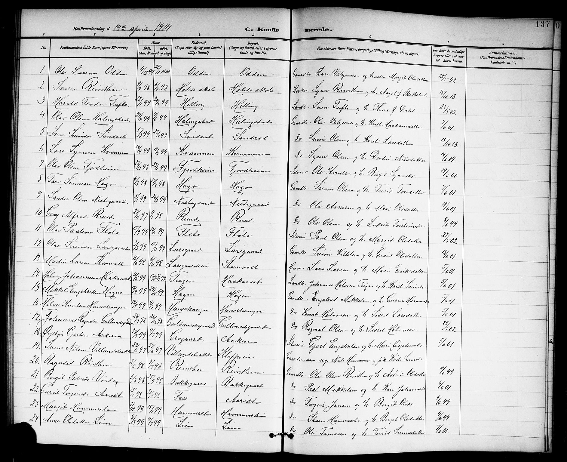 Hol kirkebøker, SAKO/A-227/G/Ga/L0001: Parish register (copy) no. I 1, 1900-1919, p. 137