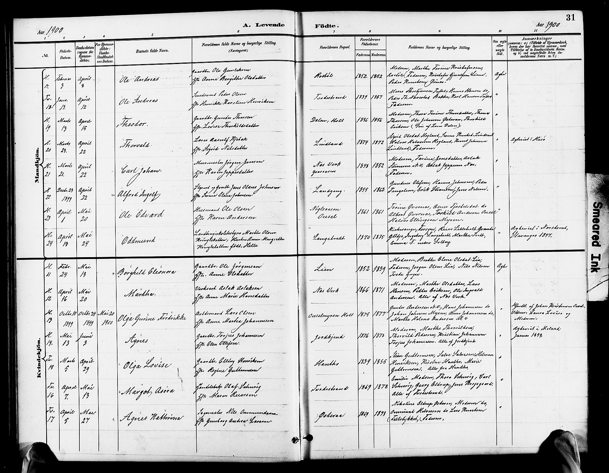 Holt sokneprestkontor, AV/SAK-1111-0021/F/Fb/L0011: Parish register (copy) no. B 11, 1897-1921, p. 31