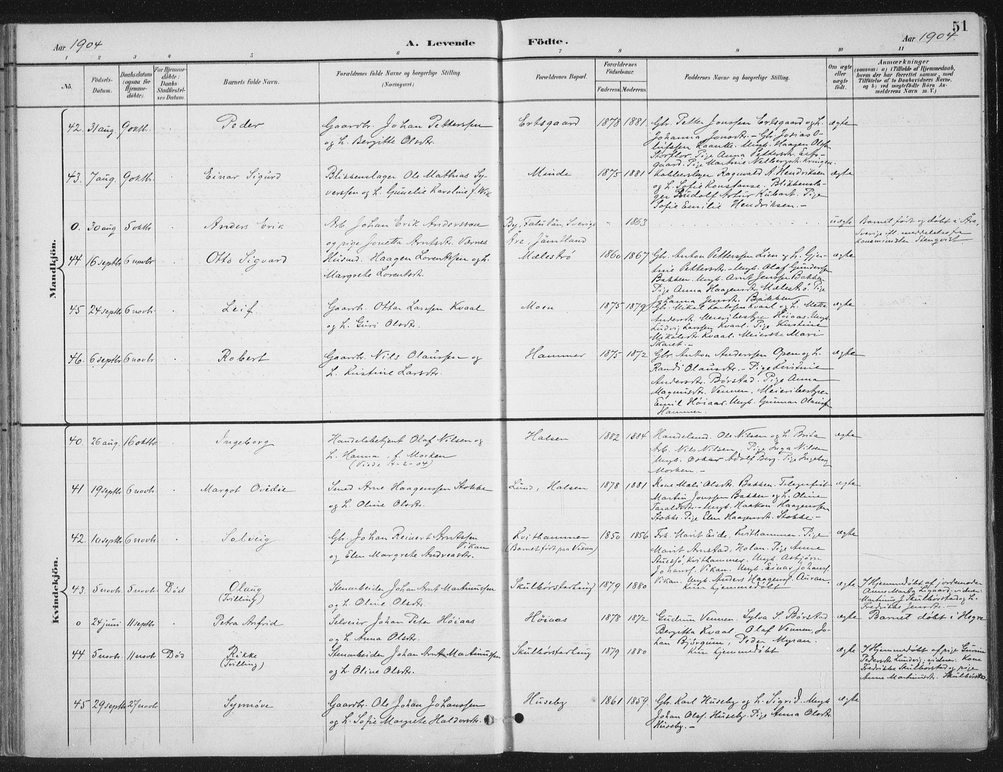 Ministerialprotokoller, klokkerbøker og fødselsregistre - Nord-Trøndelag, AV/SAT-A-1458/709/L0082: Parish register (official) no. 709A22, 1896-1916, p. 51