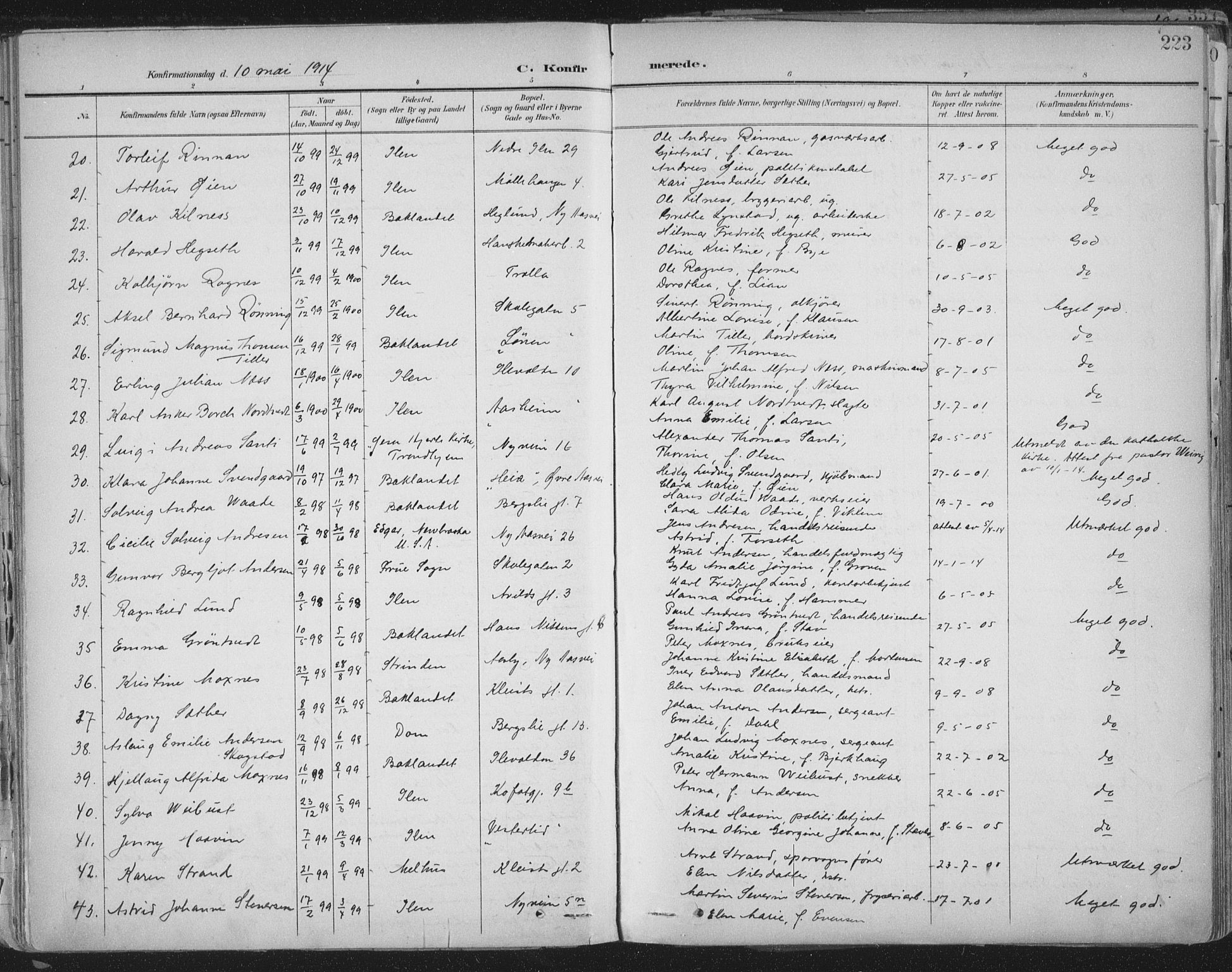 Ministerialprotokoller, klokkerbøker og fødselsregistre - Sør-Trøndelag, SAT/A-1456/603/L0167: Parish register (official) no. 603A06, 1896-1932, p. 223