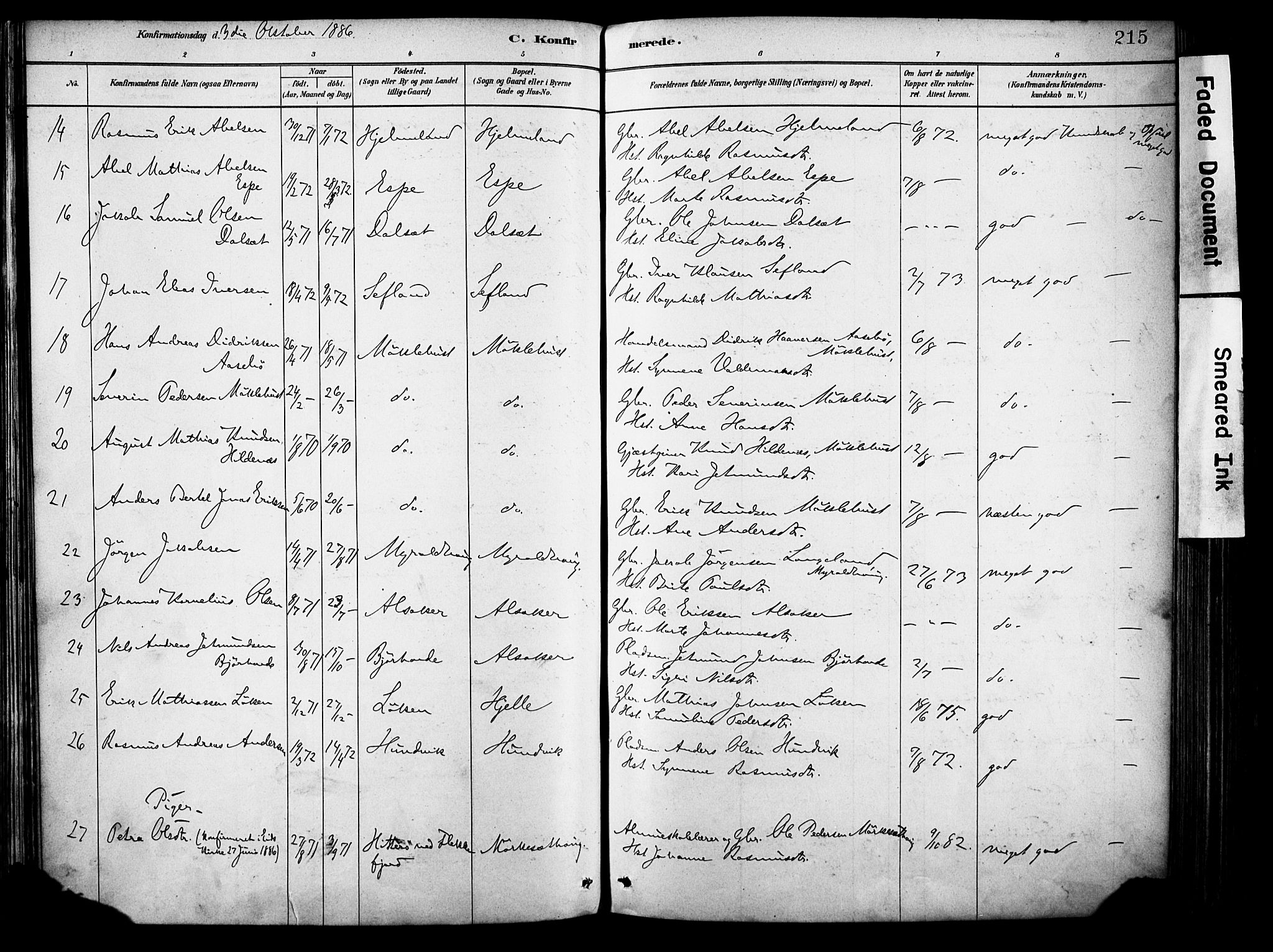 Eid sokneprestembete, AV/SAB-A-82301/H/Haa/Haab/L0001: Parish register (official) no. B 1, 1879-1906, p. 215