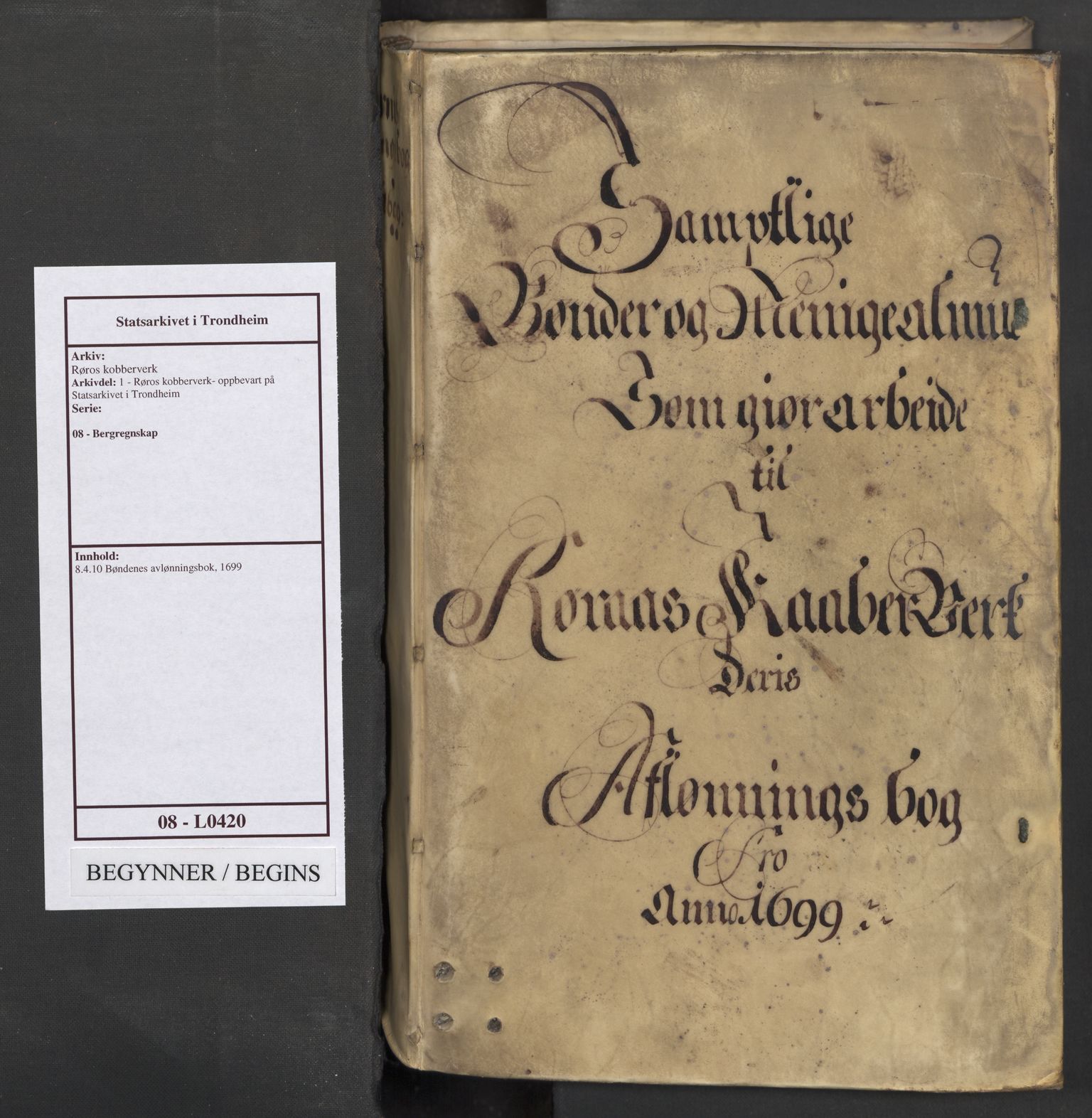 Røros kobberverk, SAT/PA-0211/1/08/L0420: 8.4.10 Bøndenes avlønningsbok, 1699