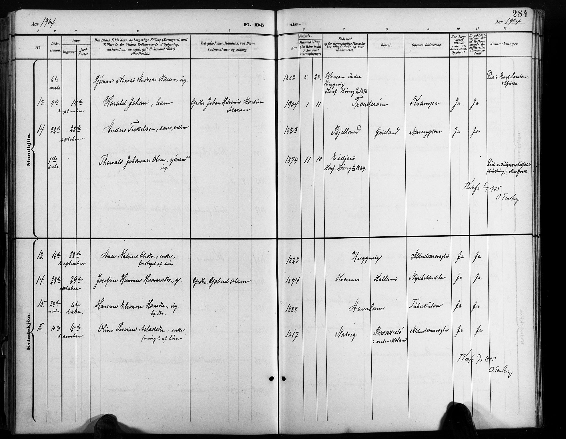 Høvåg sokneprestkontor, AV/SAK-1111-0025/F/Fb/L0005: Parish register (copy) no. B 5, 1898-1929, p. 284