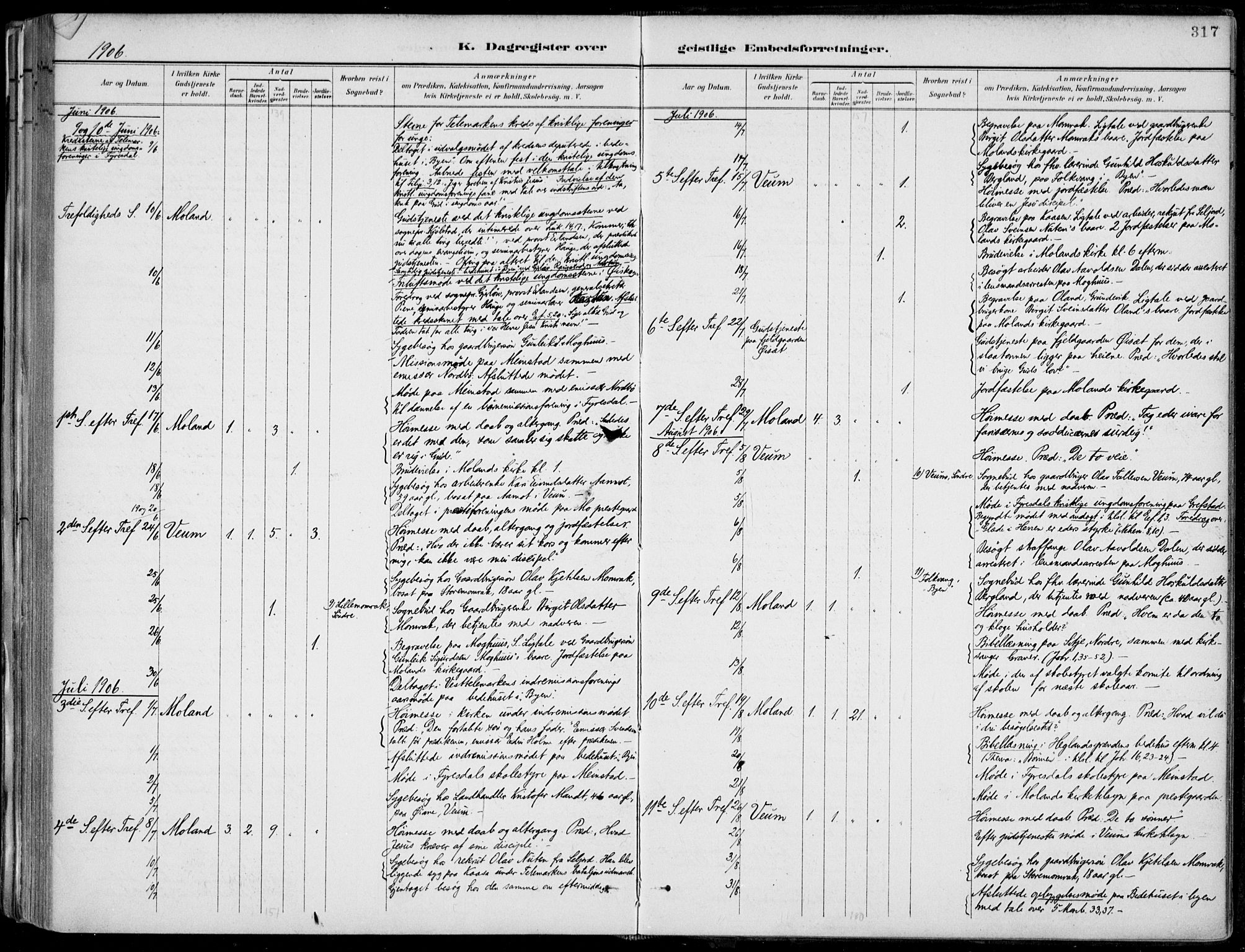 Fyresdal kirkebøker, AV/SAKO-A-263/F/Fa/L0007: Parish register (official) no. I 7, 1887-1914, p. 317