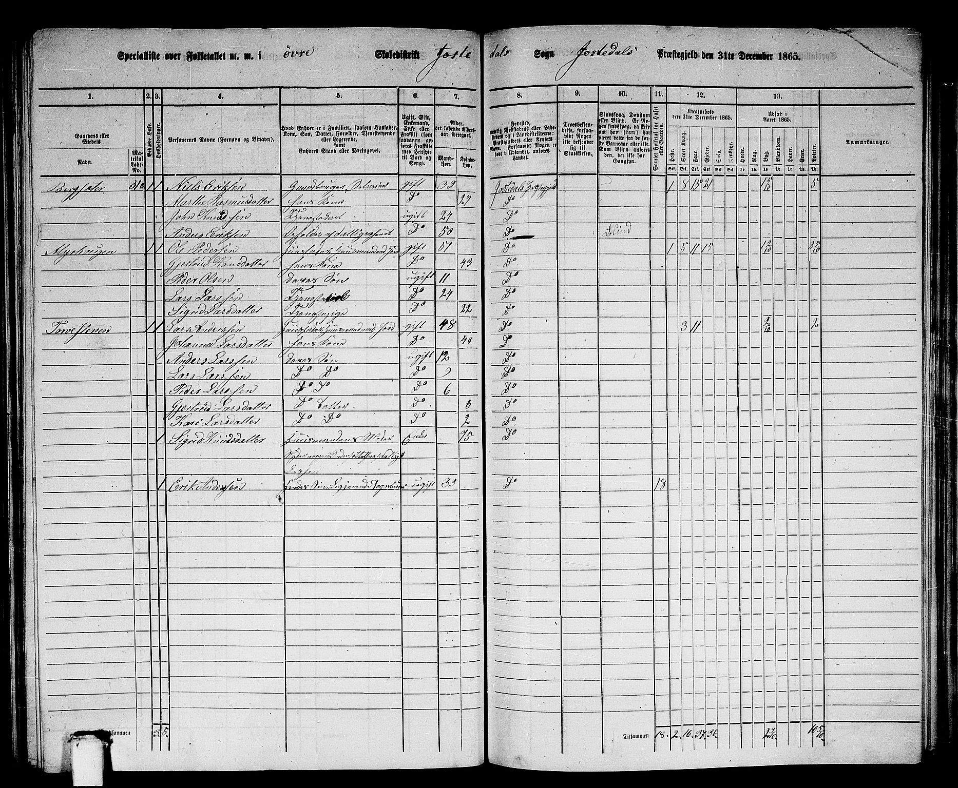 RA, 1865 census for Jostedal, 1865, p. 40